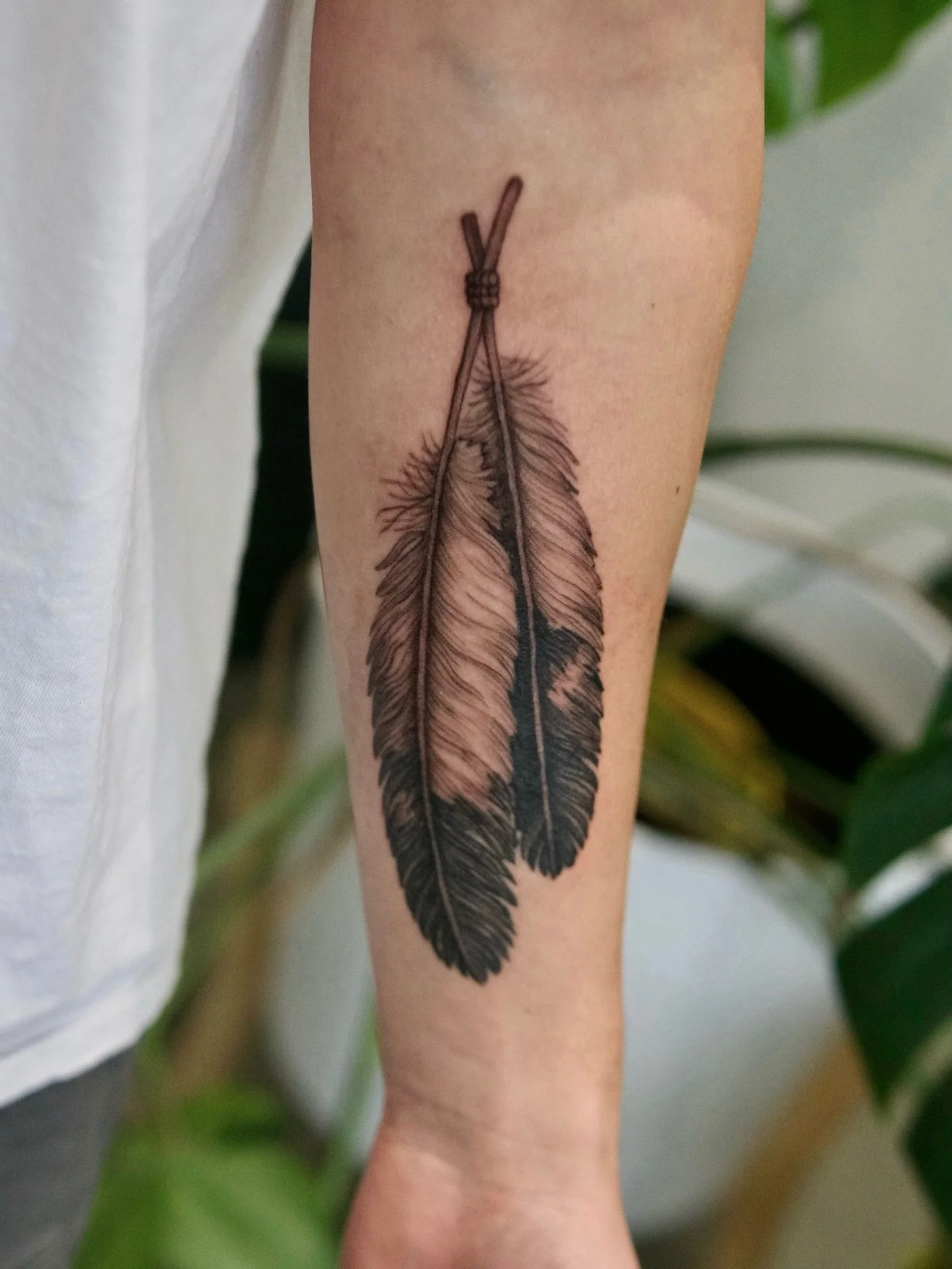Eagle feathers for Landon, representing his culture both past and present.

#pnwtattoo #seattletattoo #feathertattoo #washingtontattoo #finelinetattoos