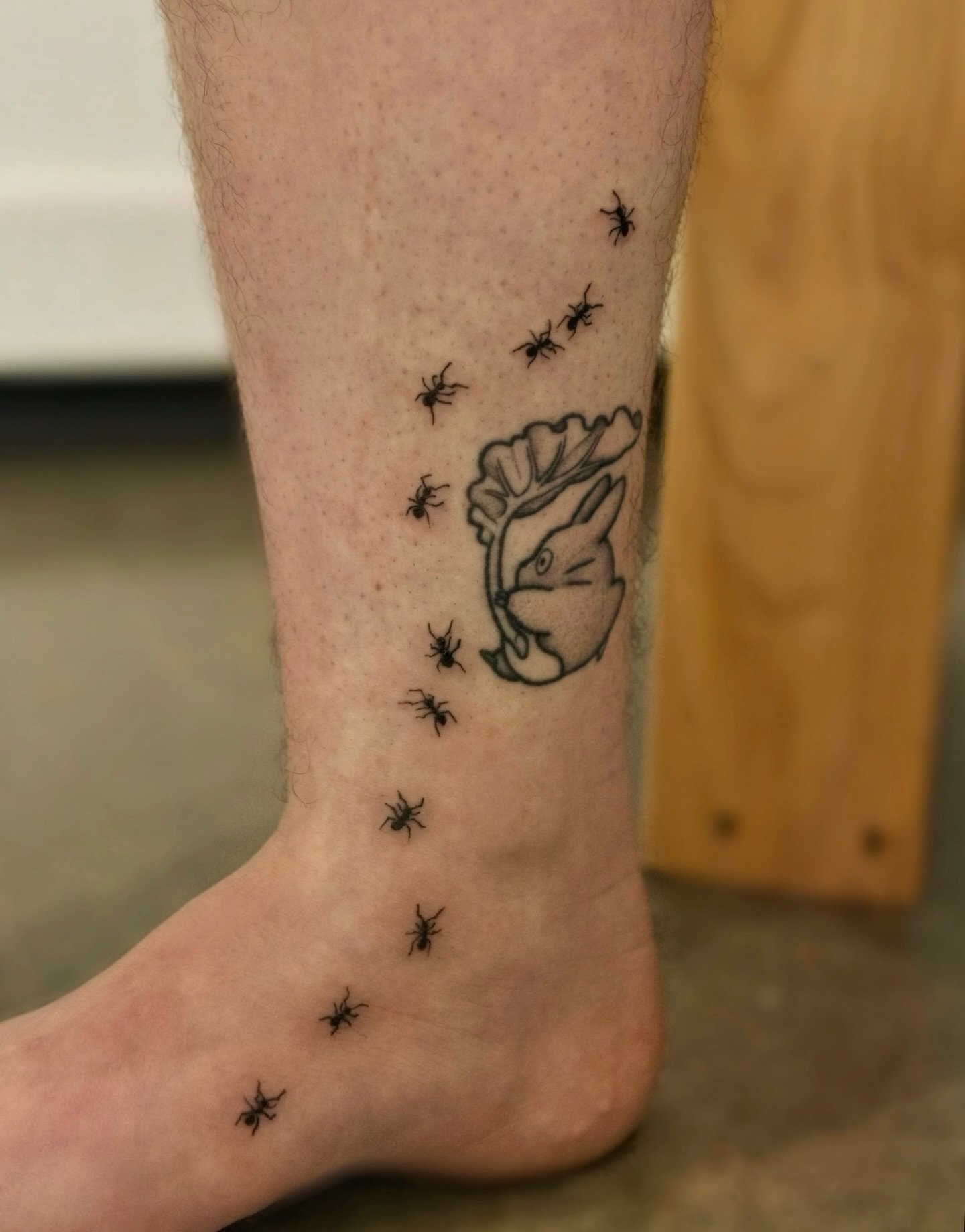 Illustrative crawling ants and lavender bundle with a bee for Brandon. It was so fun getting to play around with different styles! 

#lavendartattoo #seattletattoo #anttattoo#washingtontattoo #finelinetattoos