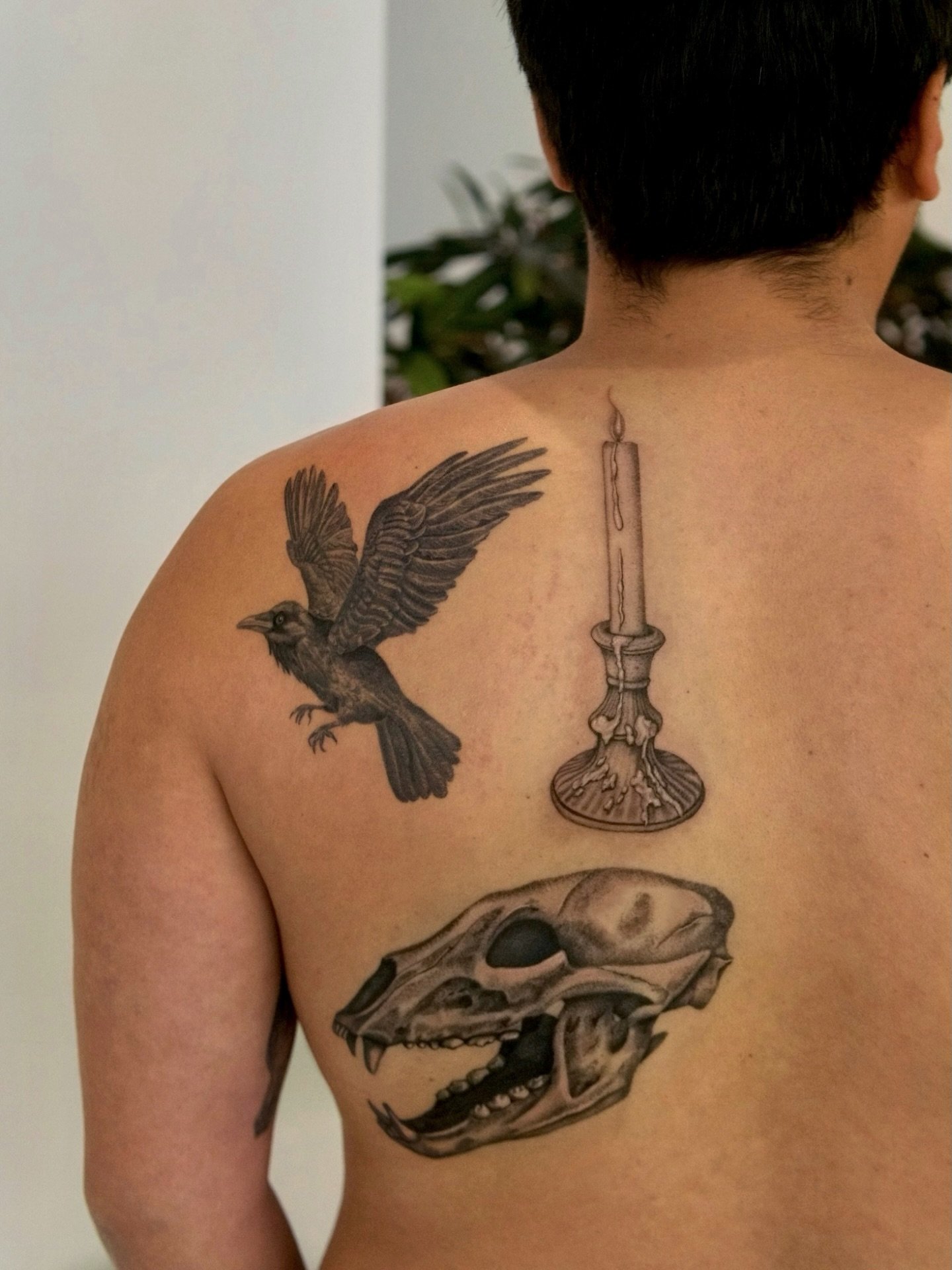 Finished up the bear skull for Jeff and added a melting candle to his collection of darker pieces. Raven about 3 months healed.

#pnwtattoo #seattletattoo #skeletontattoo#washingtontattoo #finelinetattoos