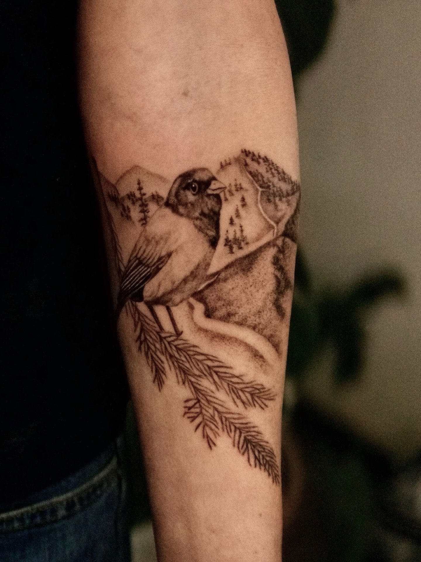 Male junco in front of Hurricane Ridge trail in Olympic National Park. I had the honor of doing this piece for Erika in memory of her parents. 

#pnwtattoo #seattletattoo #birdtattoo#washingtontattoo #finelinetattoos