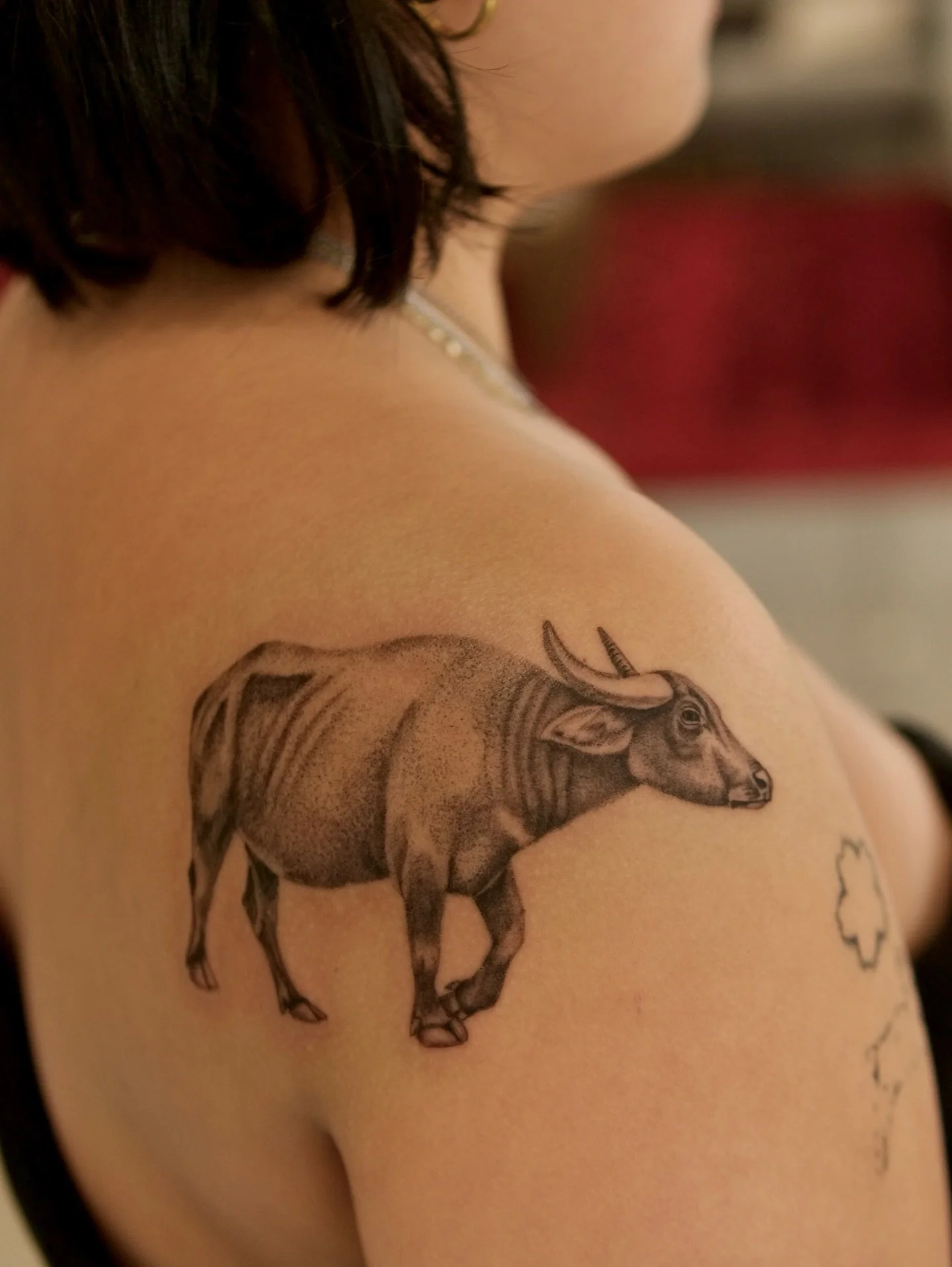 Carabao for Umi, inspired by her family and heritage in the Philippines.

#pnwtattoo #seattletattoo #animaltattoo#washingtontattoo #finelinetattoos