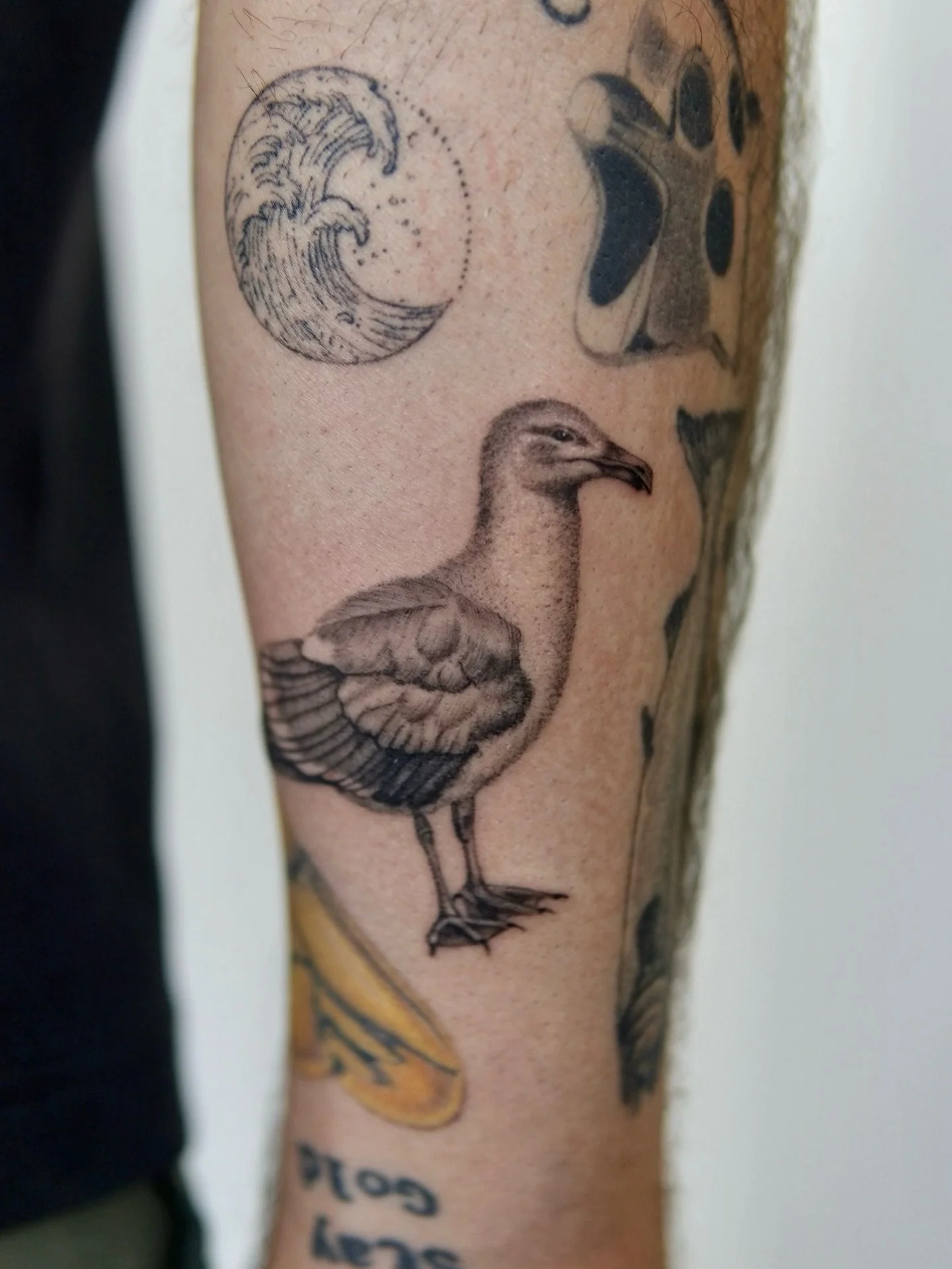 Glaucous-Winged Gull for Austin. What would you name this little guy? Let me know in the comments! 

#pnwtattoo #seattletattoo #animaltattoo#washingtontattoo #finelinetattoos