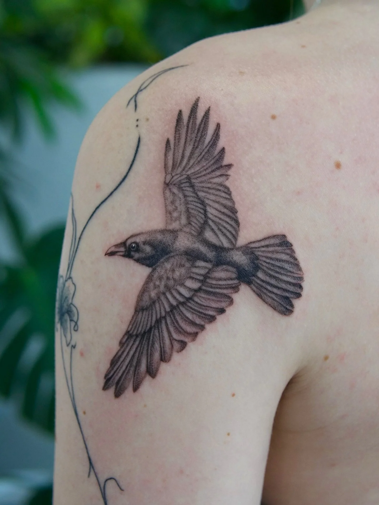 Crow for Hayden. I am obsessed with this placement and how it appears to fly with her natural movements. 

#pnwtattoo #seattletattoo #crowtattoo#washingtontattoo #finelinetattoos