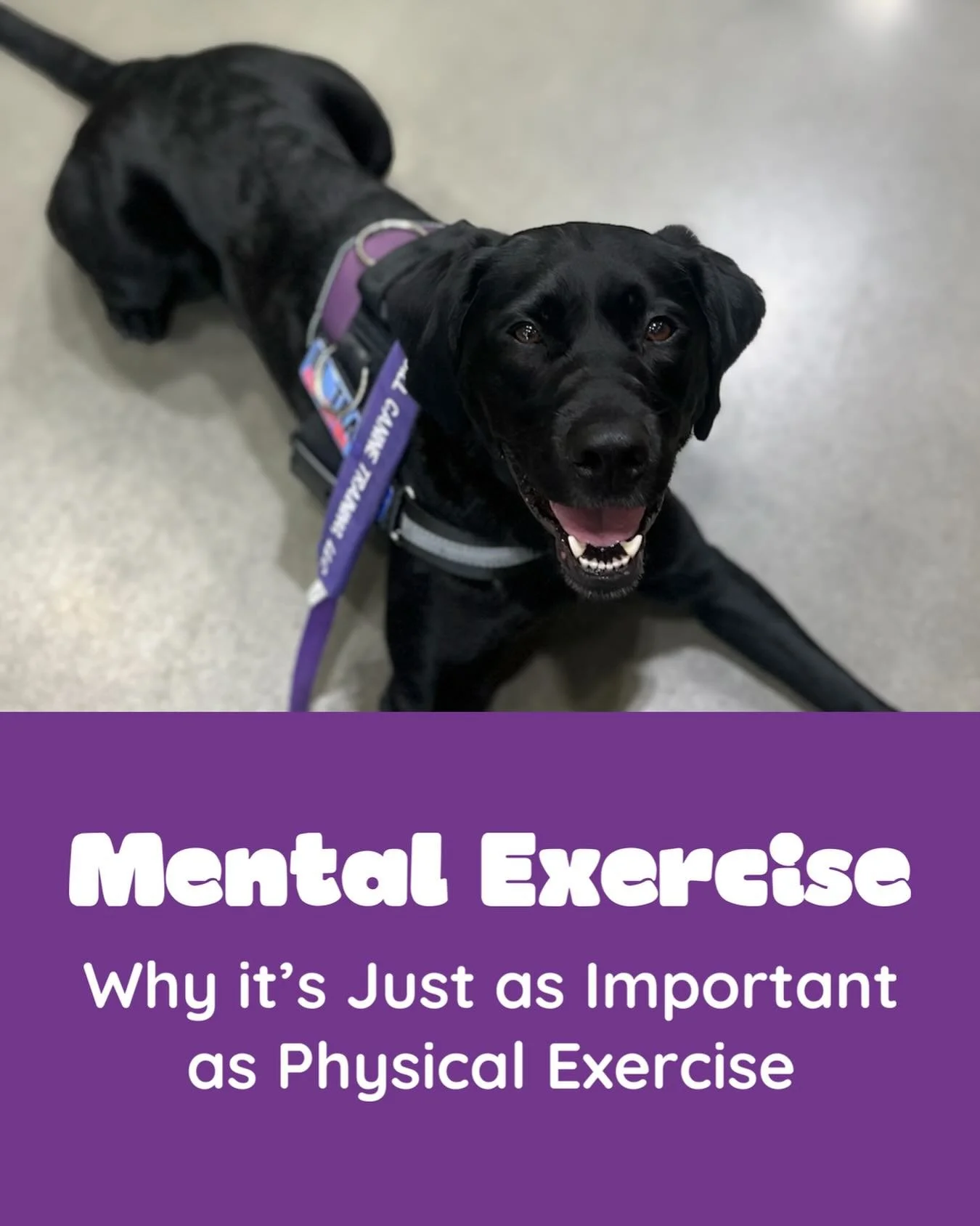 &ldquo;My dog can run in the yard all day and still be wound up when they come inside!&rdquo;

This is where mental exercise comes in handy! 

Mental exercise is the reason you can sit at a computer for 8 hours a day and still come home exhausted. Do