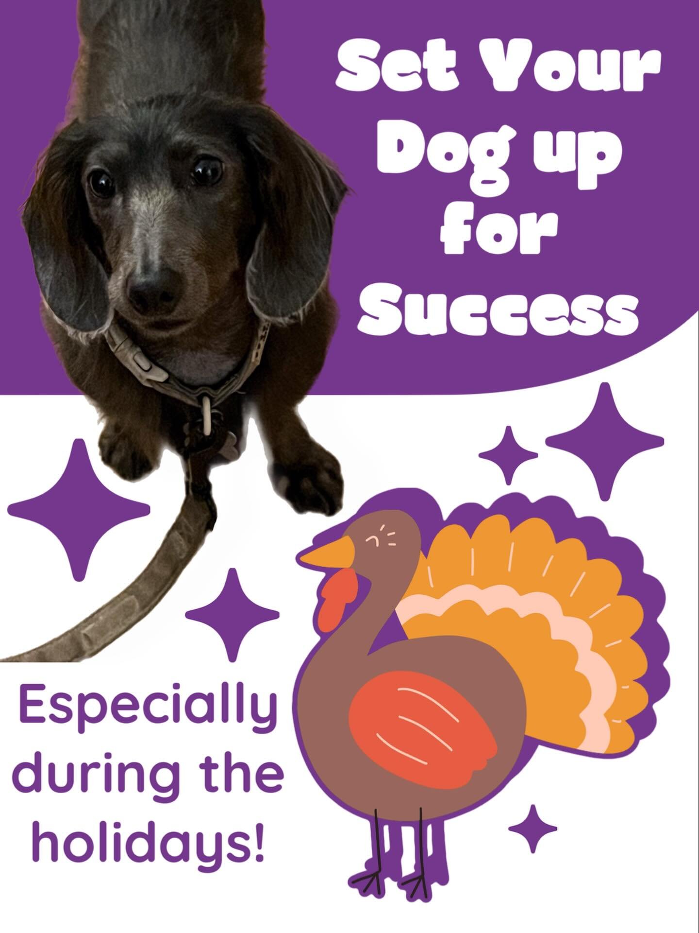 The holidays are an exciting (but stressful!) time for people, so imagine what it must be like for your dog! Guests coming over, yummy food in oven, games being played&hellip;how can you help your pup find calm in the chaos? I&rsquo;ve got some tips 