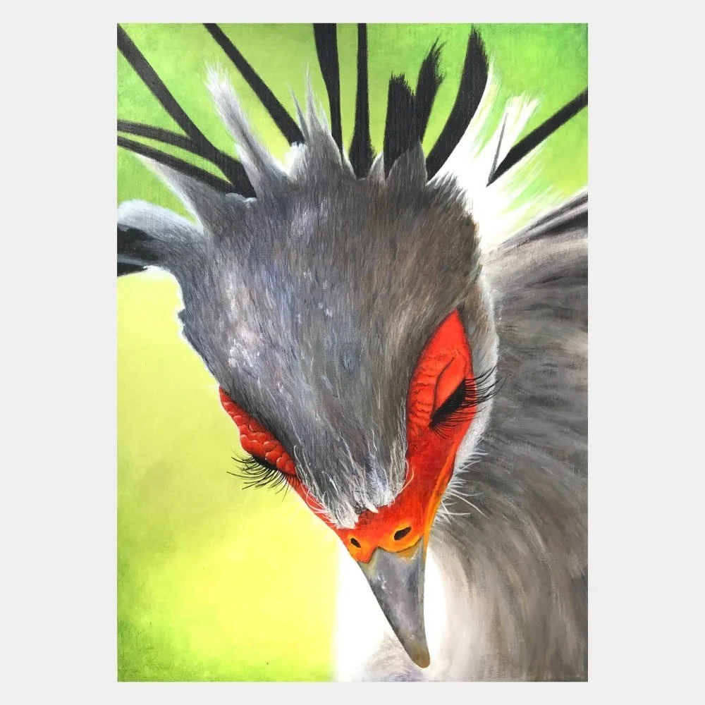 Sekretärvogel