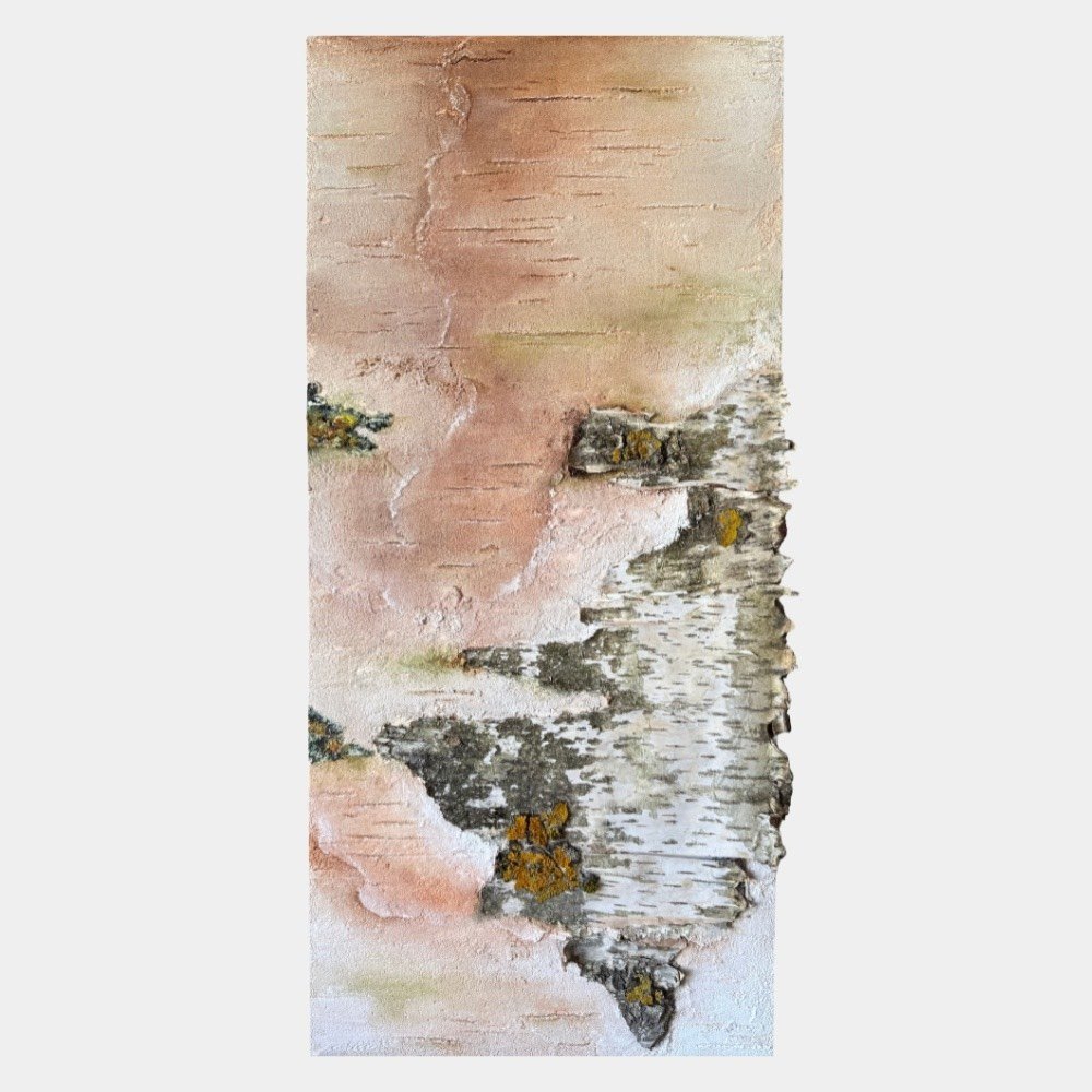 Rinde Studie III – Birke