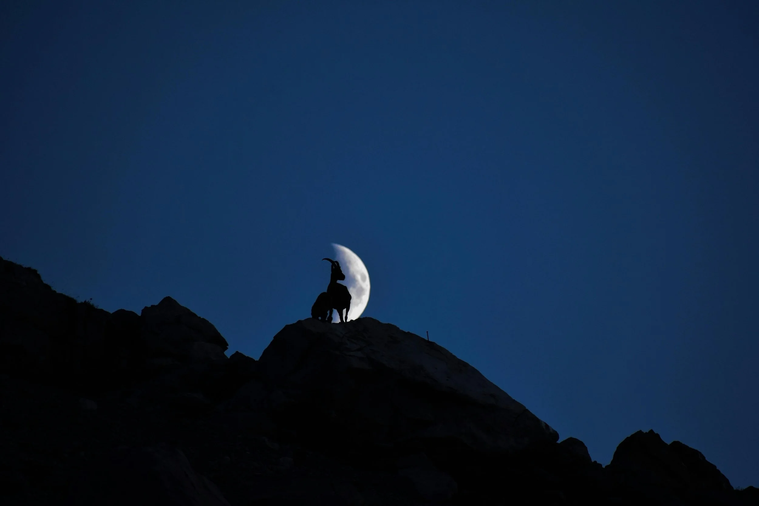 New Moon in Capricorn 2026