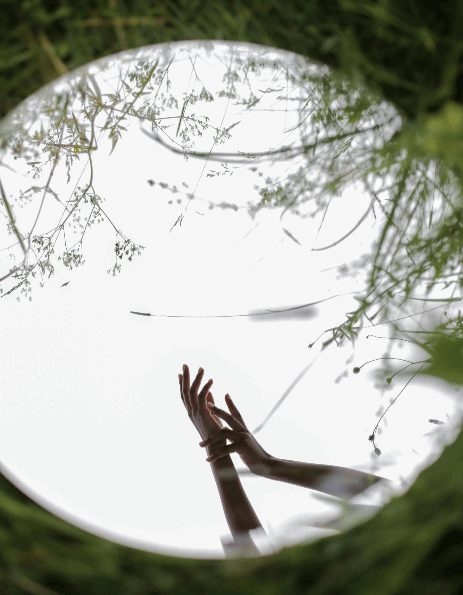 Sesión 1:1:  “Descubre tus Fortalezas”