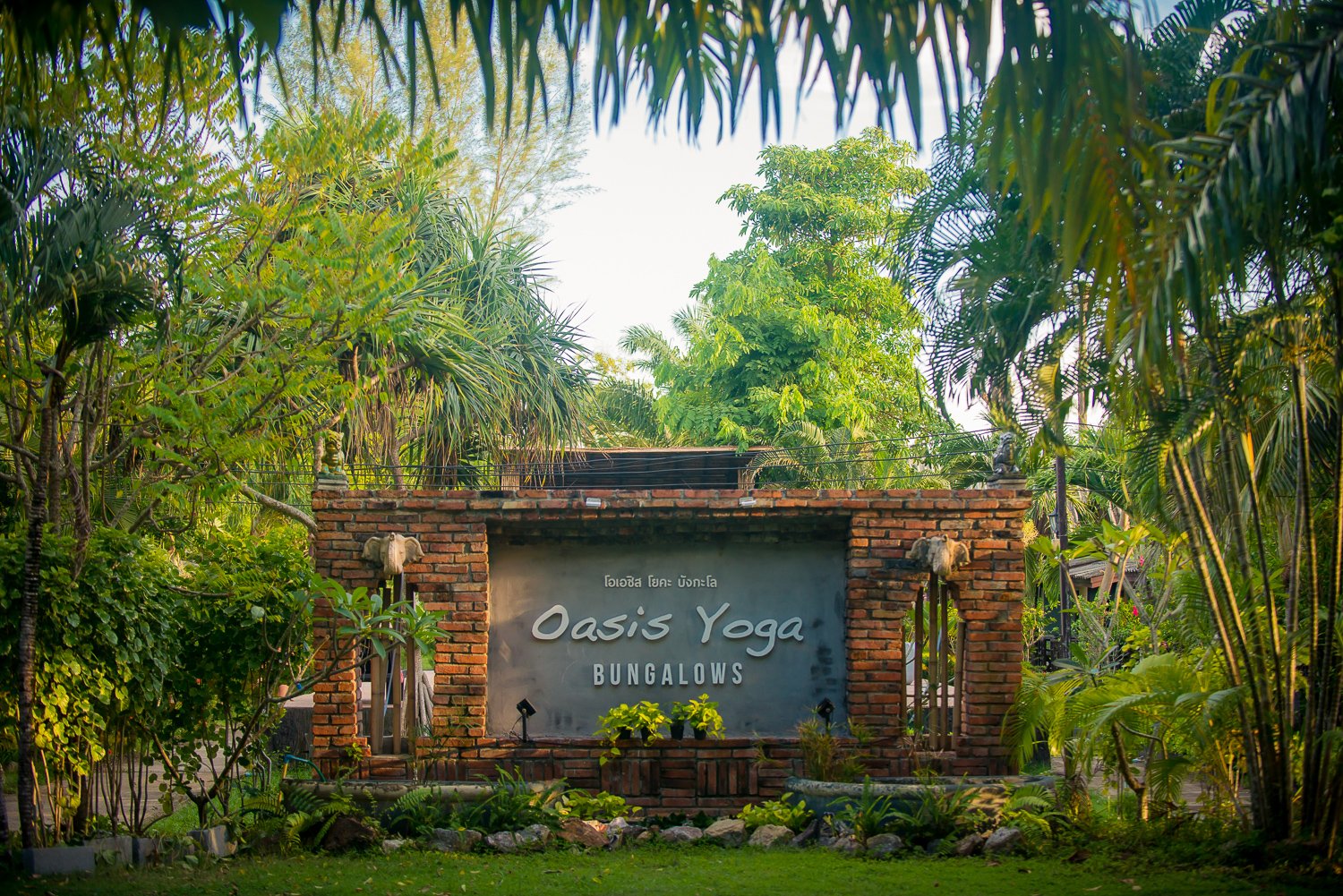 oasisyoga_stock-11.jpg