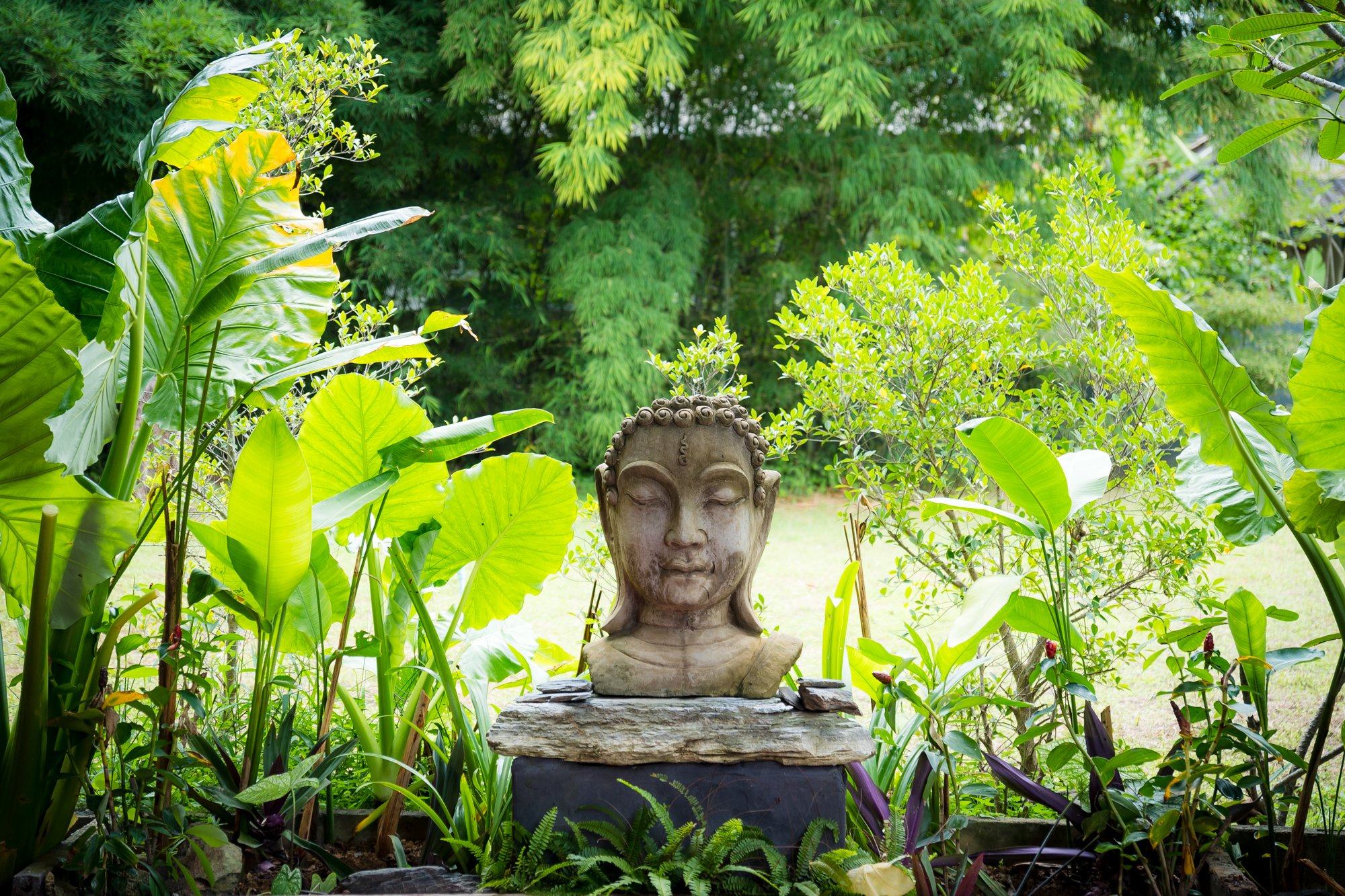 oasis_yoga_2023.jpg