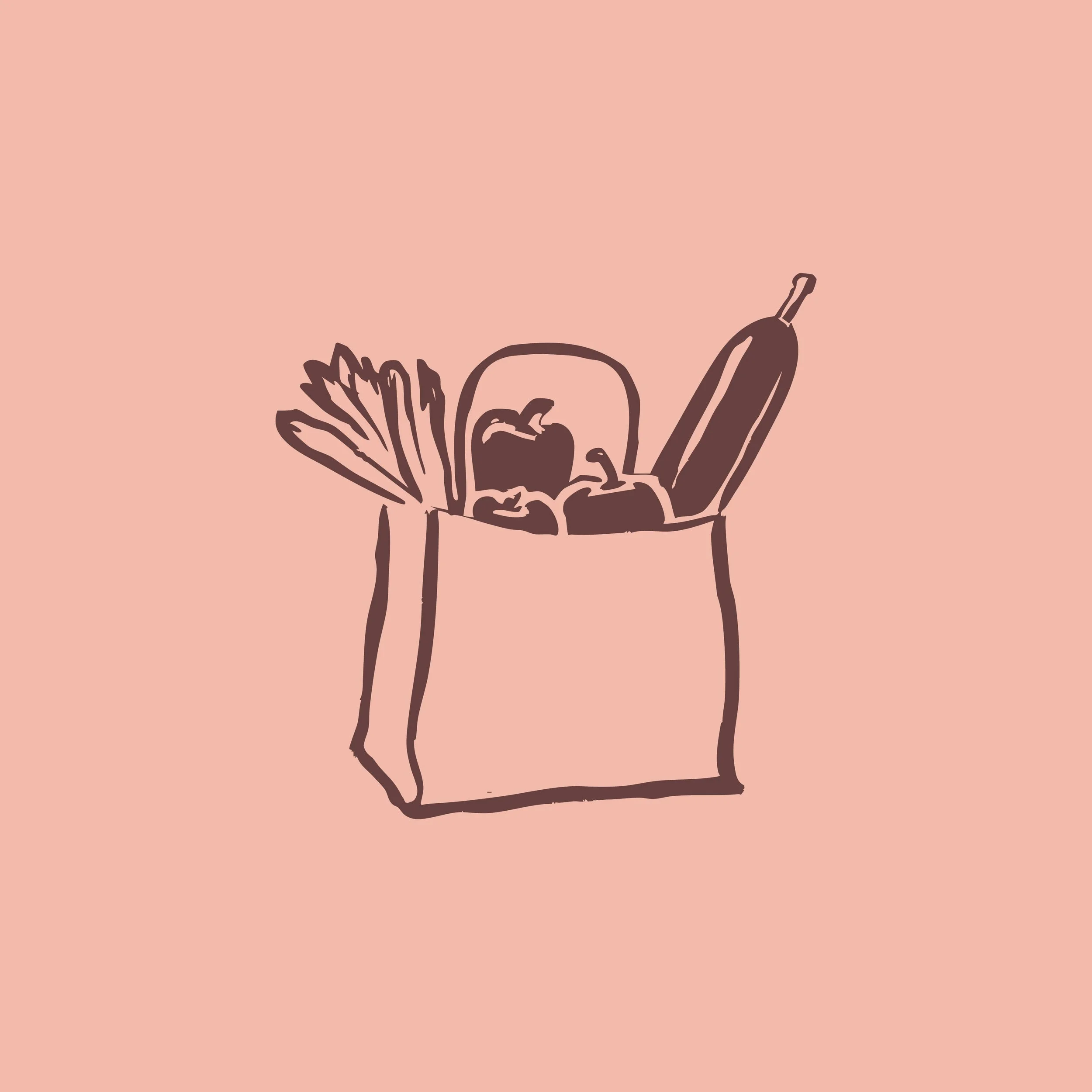 Simple line drawing of a paper bag filled with vegetables and a bottle on a pink background.