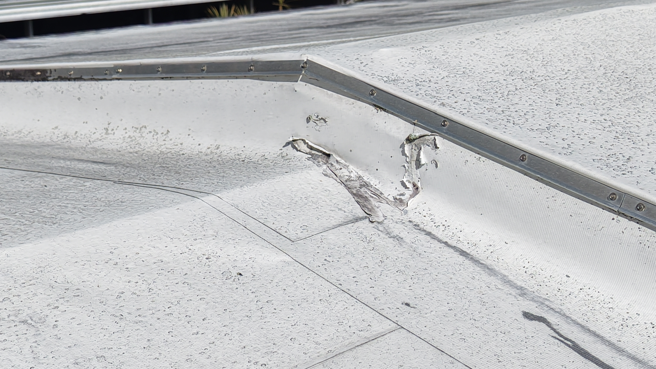 Close-up of a damaged section of a white roof with peeling and torn material near a metal edge.