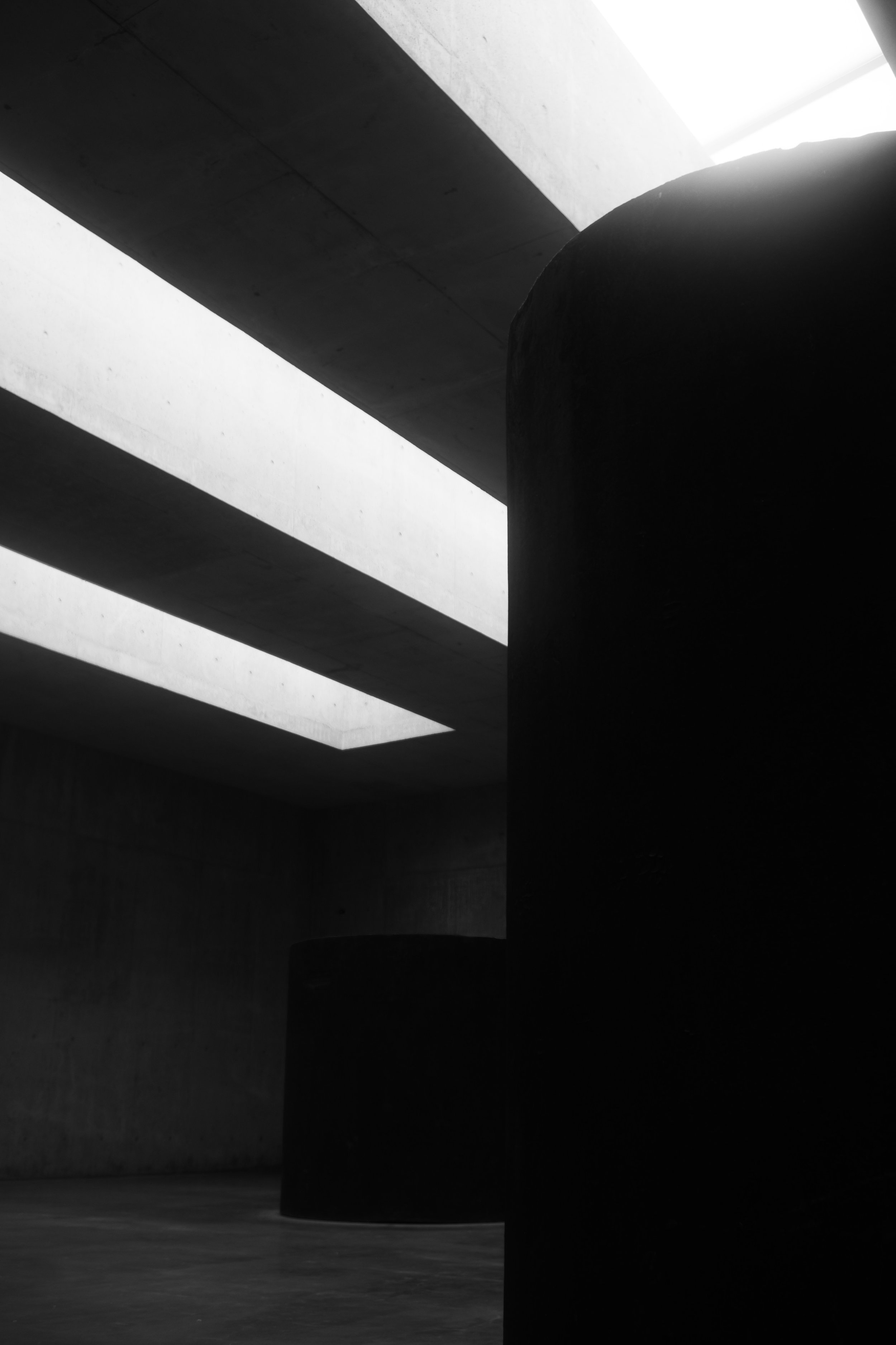 P1017283.jpeg