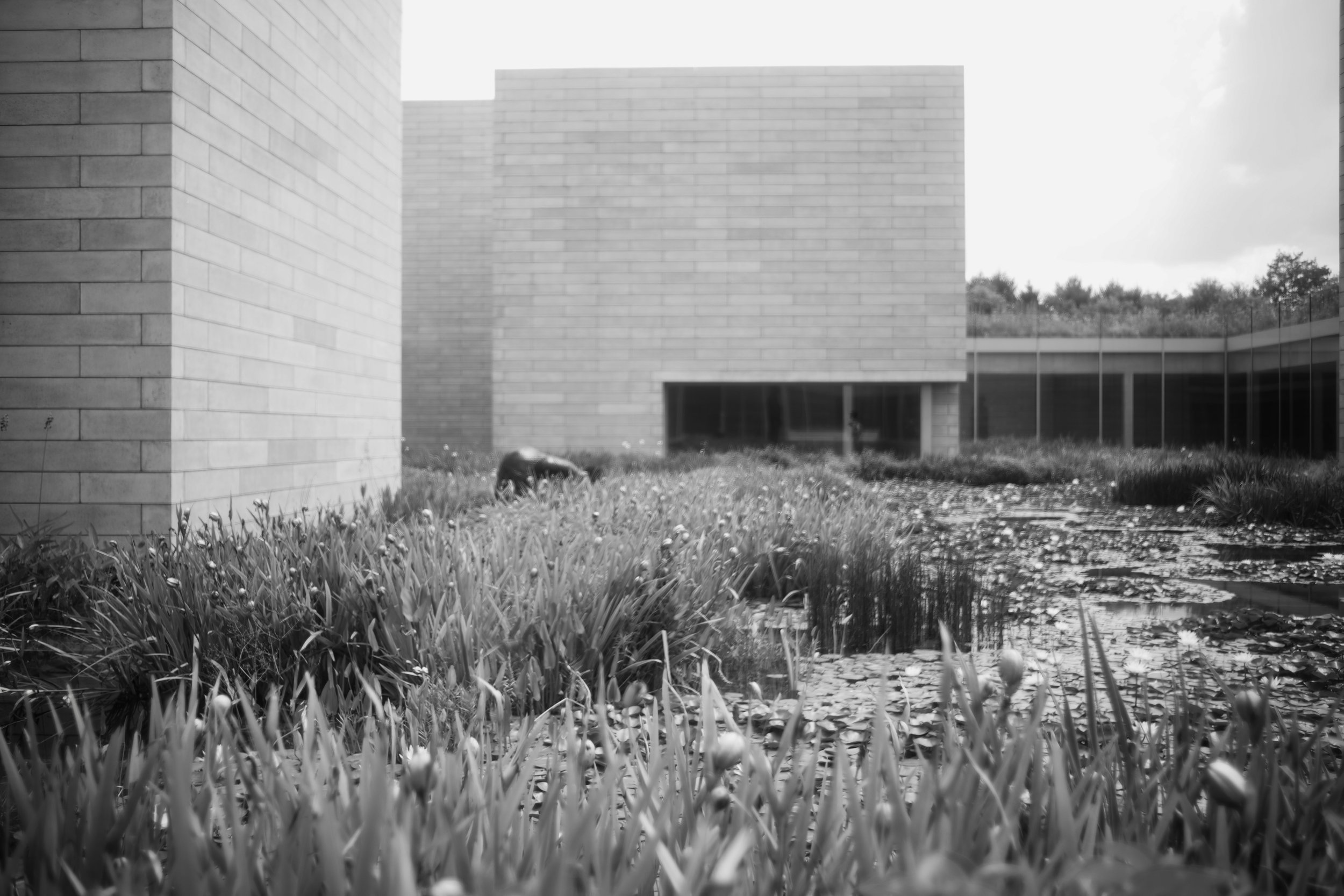 Woman in the Yard