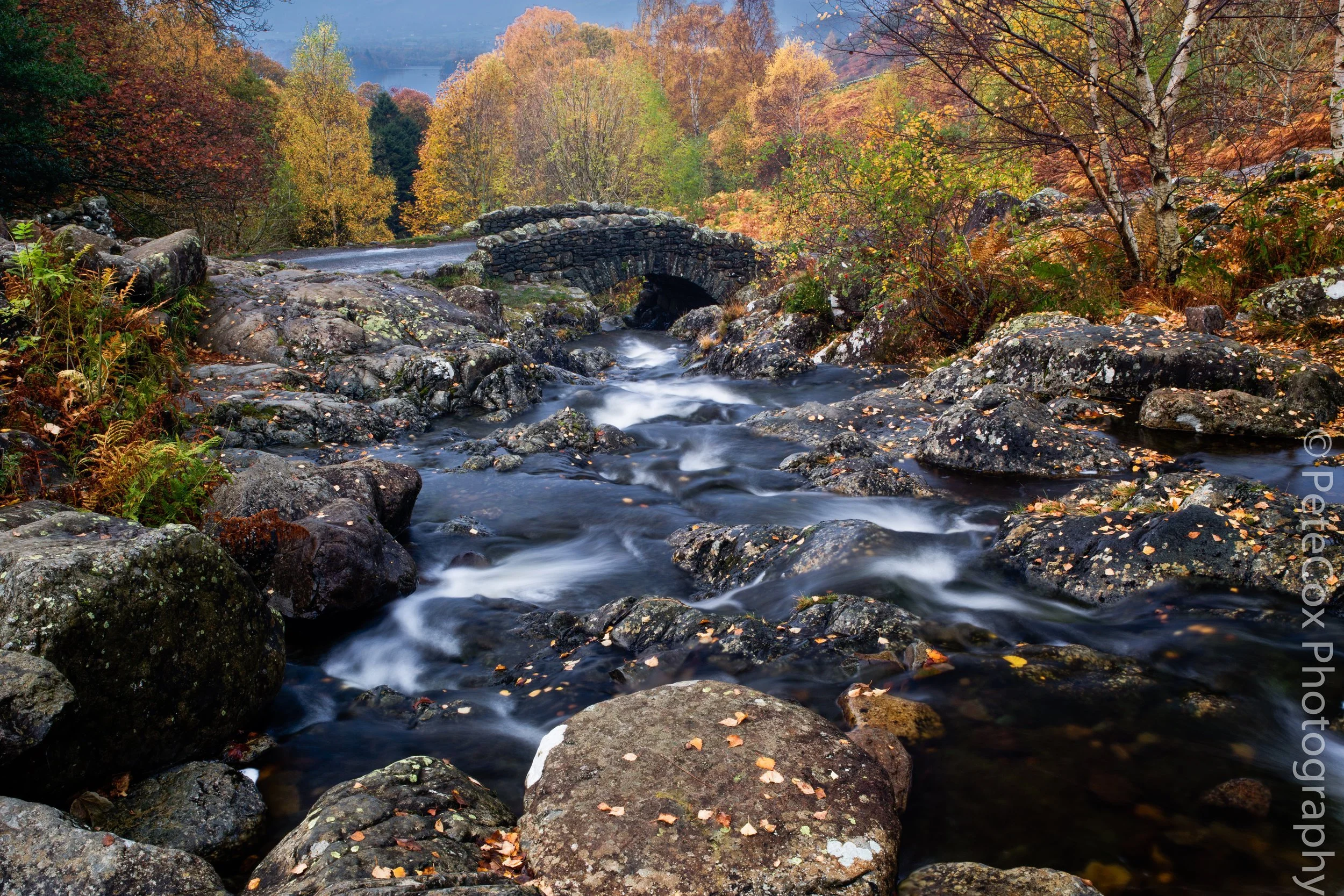 A river flowing over rocks with a small stone bridge and autumn-colored trees in the background.