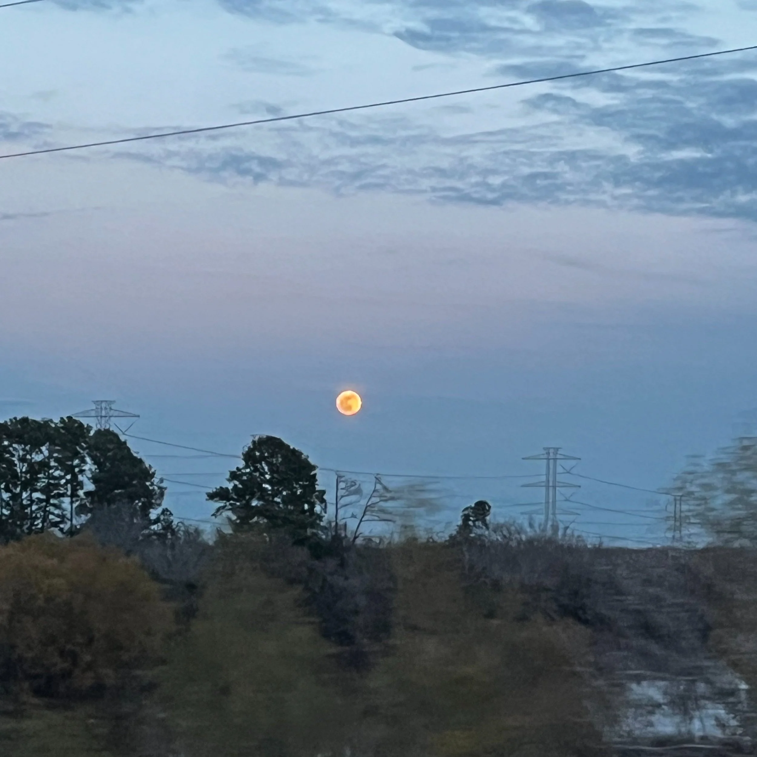 Full moon rising over trees and power lines against a cloudy sky. houston, texas