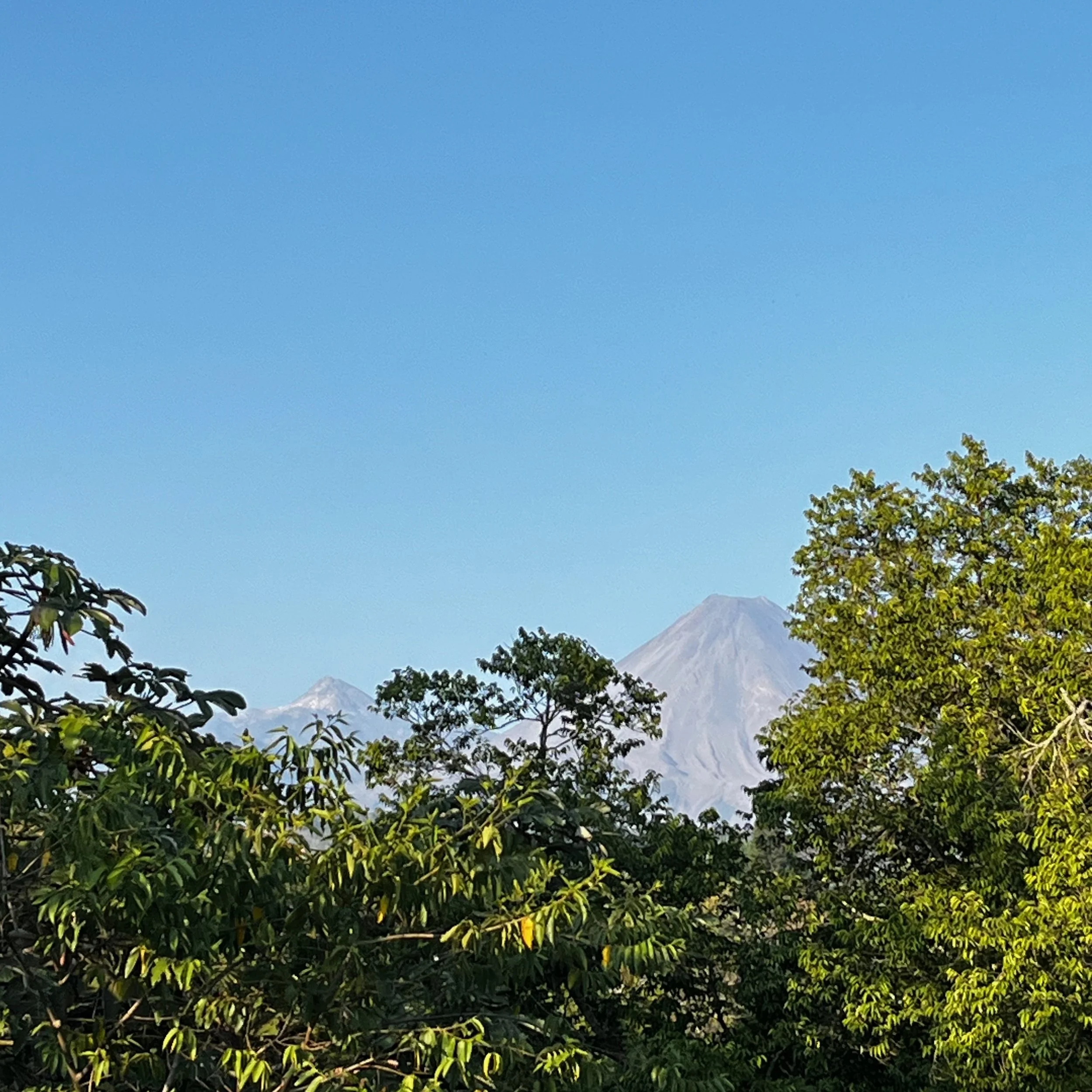 View of a mountain with lush green trees in the foreground and a clear blue sky (colima, mexico)
