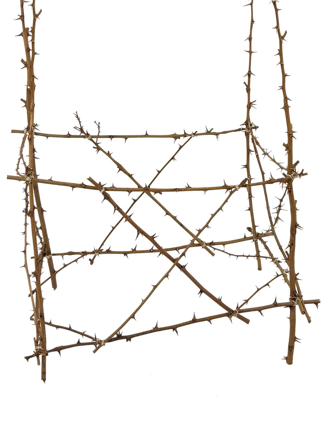 Baby Crib, 2024, 20x32x55 inches, young black locust, rope, hair strands