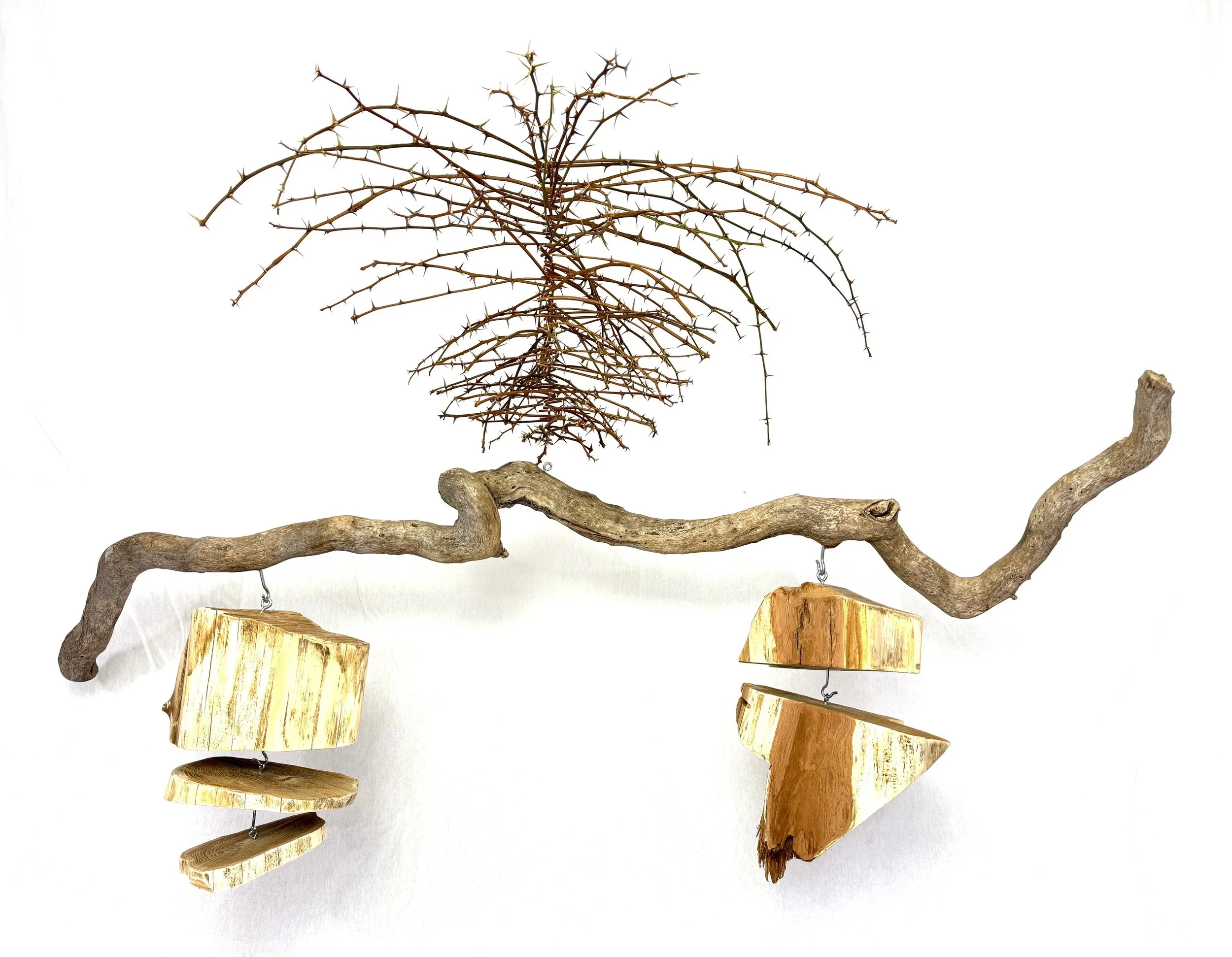 Kinetic Balance - 2026, found driftwood, young black locust branches, five chopped black locust trunks, fishing wire (suspended); 55x22x55 in. & 22 lbs.



