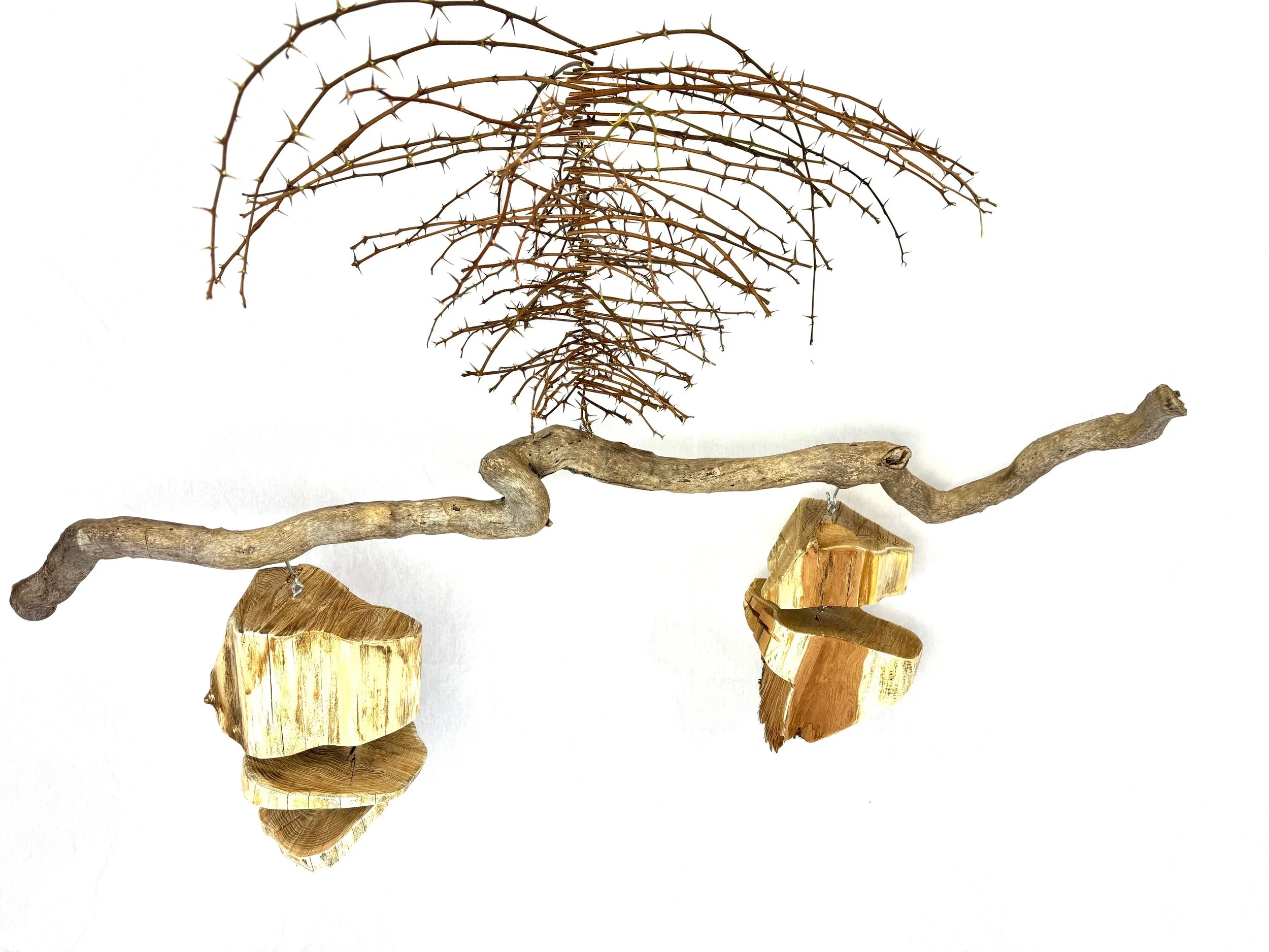 Kinetic Balance - 2026, found driftwood, young black locust branches, five chopped black locust trunks, fishing wire (suspended); 55x22x55 in. & 22 lbs.



