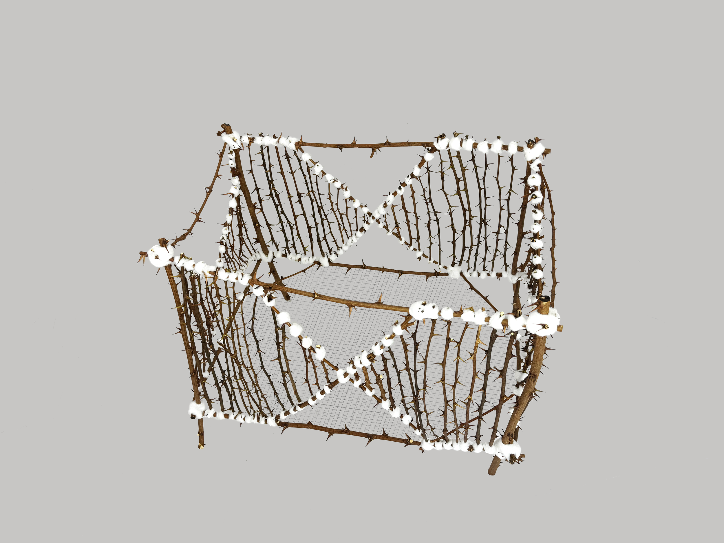 Baby Crib - 2026, Young black locust, cotton balls, hair; 20x32x28 in.
