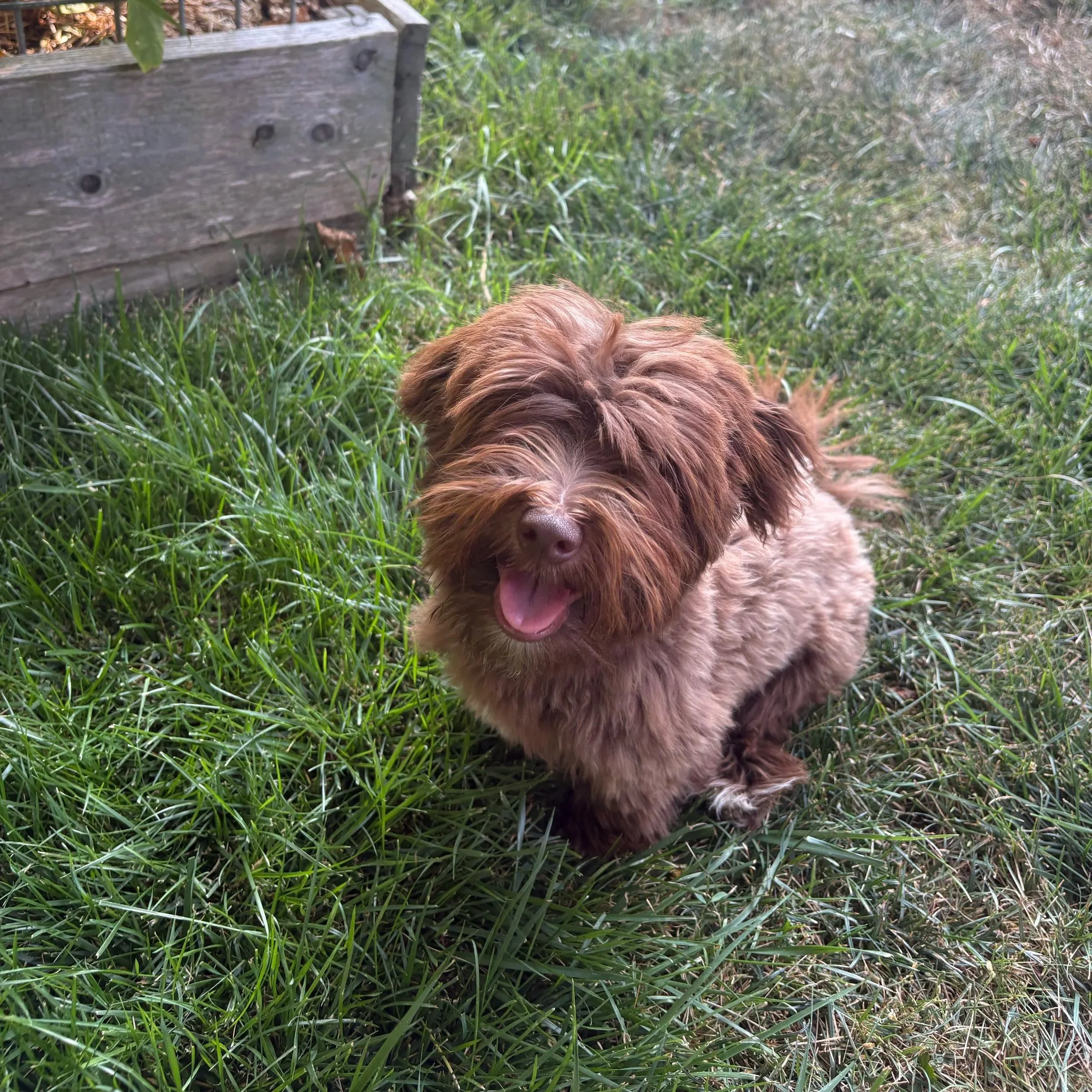 Rupert | Still growing 