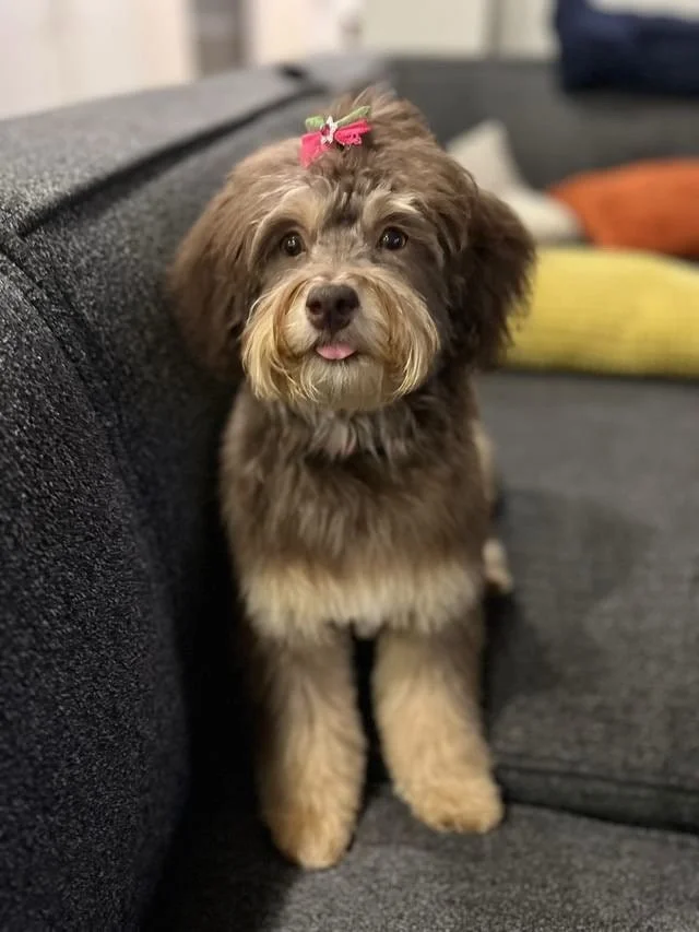 5840770662147264768 (1).JPG