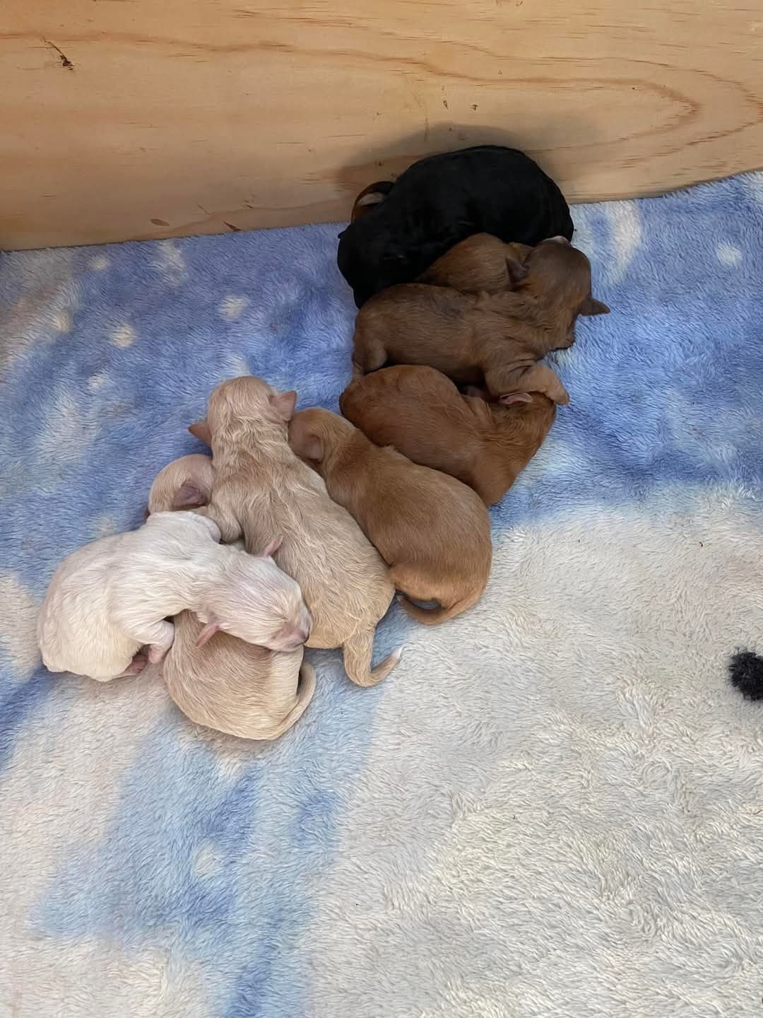 8176778768418352694 (1).JPG