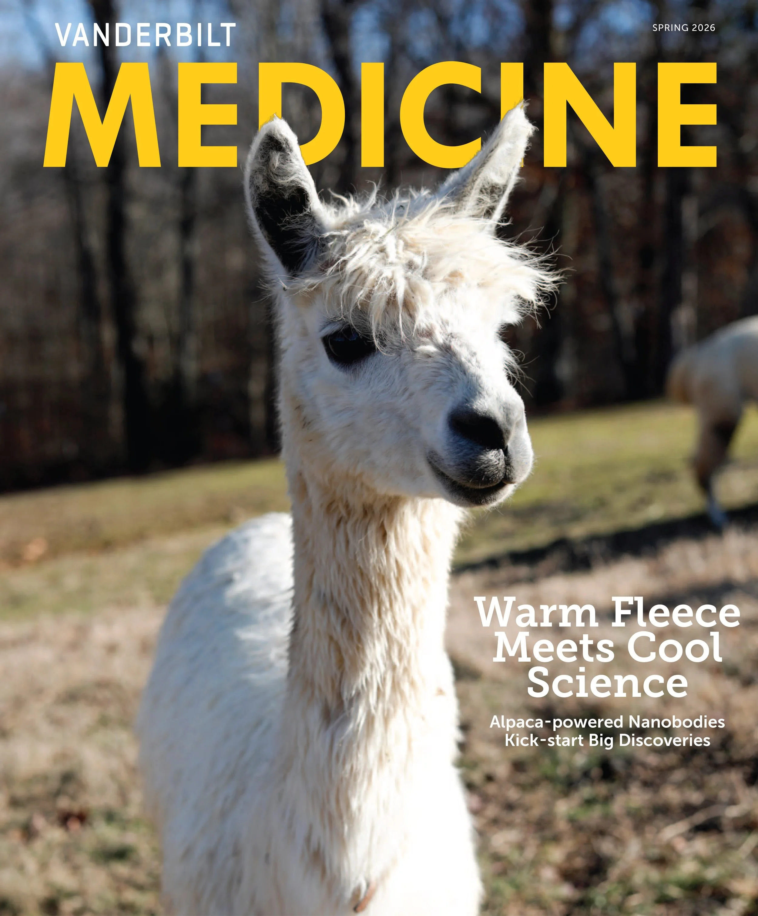 small_vanderbiltmedicine_spring26-cvr.jpg