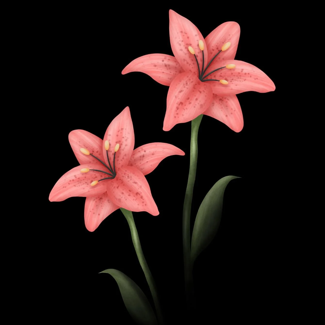 I hope you have a beautiful day ✨