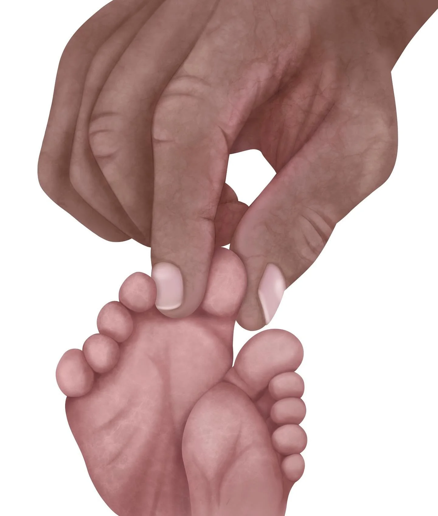 This little piggy. Illustrated for a board book about baby toes. Always a fun challenge to draw realistic hands and feet, especially chunky wrinkly little baby feet.