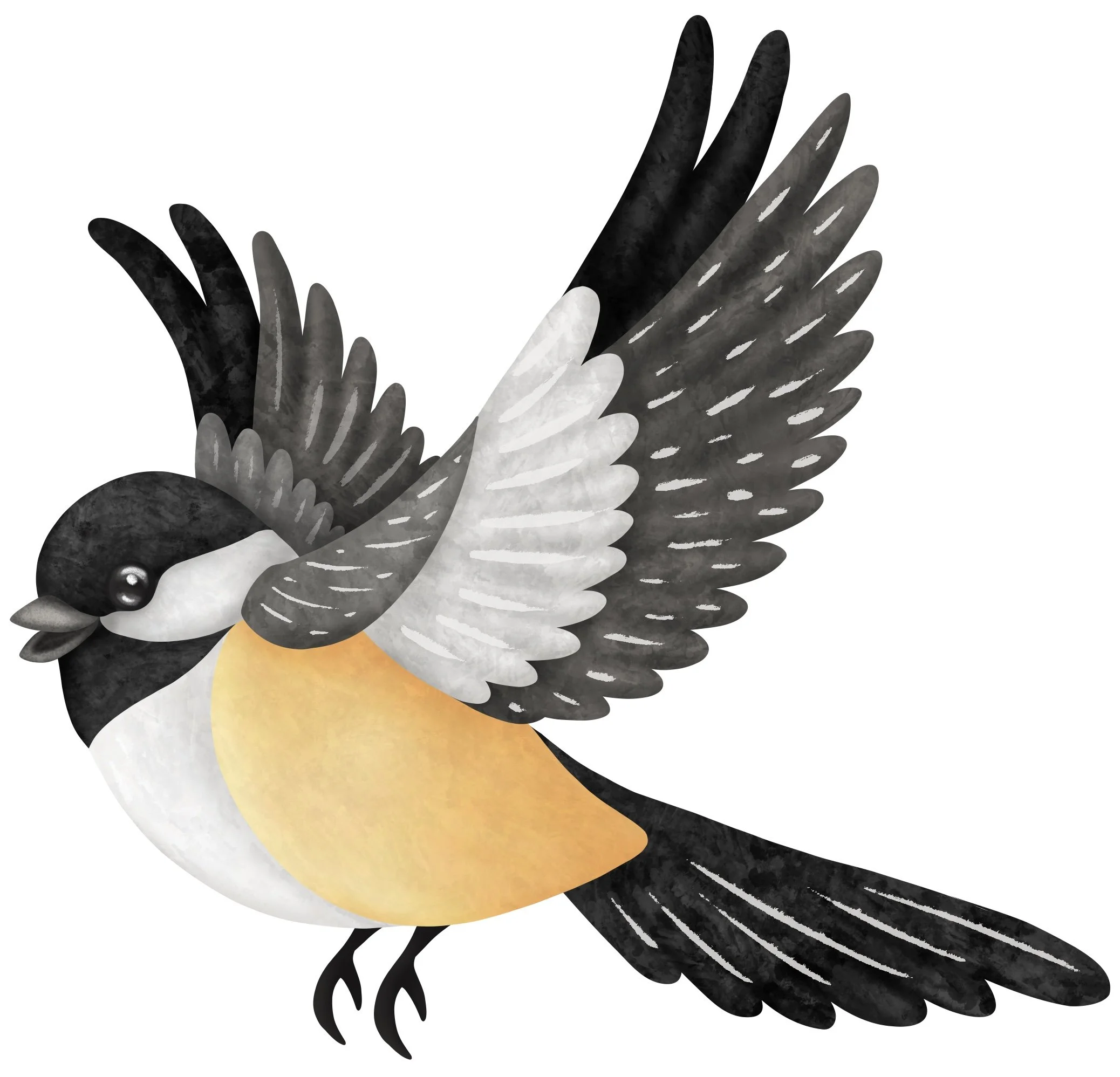 Indie Bloom Illustration Chickadee