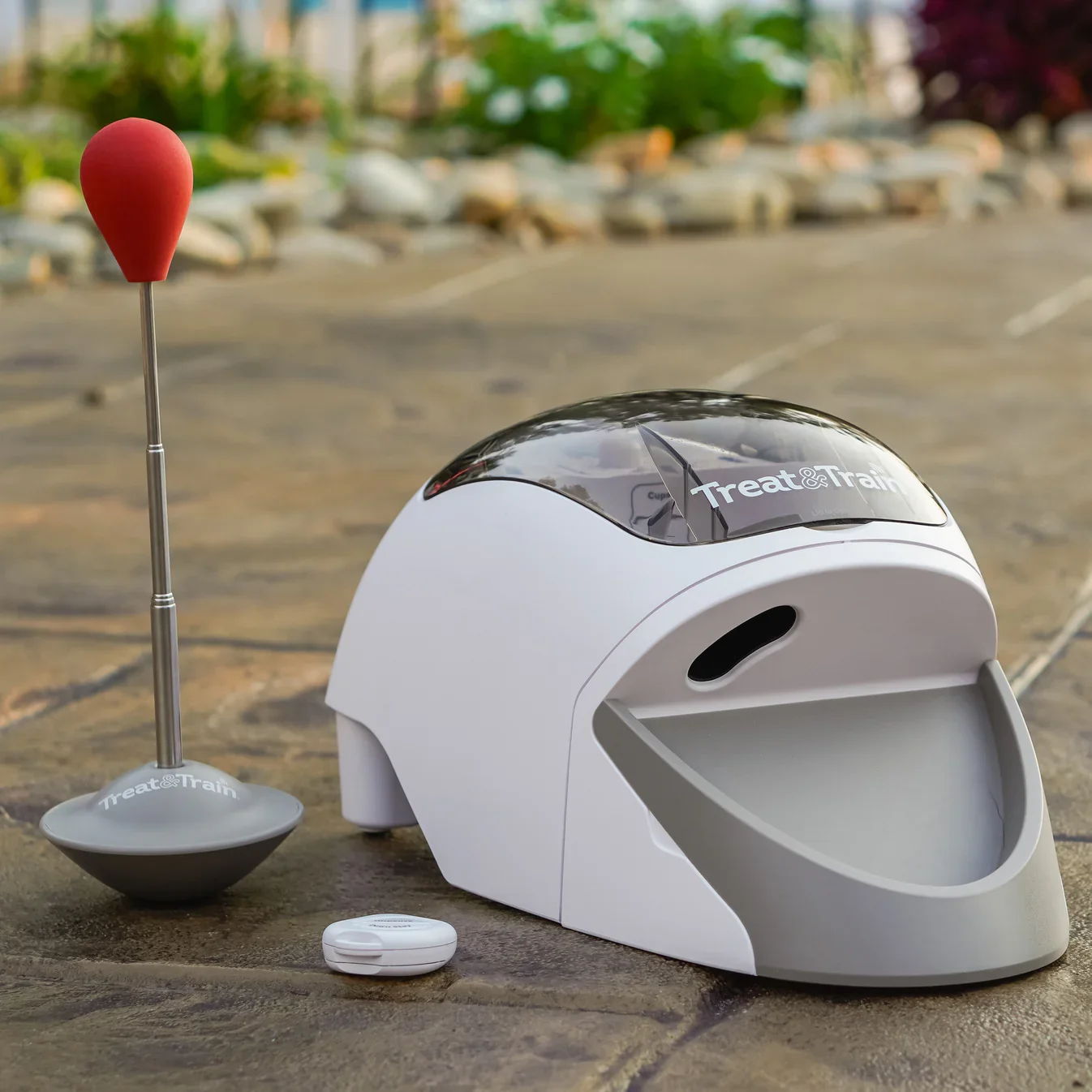 A robotic pet feeder labeled "Treat & Train" next to a golf ball launcher with a red-topped launcher and a small round remote control on a paved surface with a blurred background of a parking lot and trees.