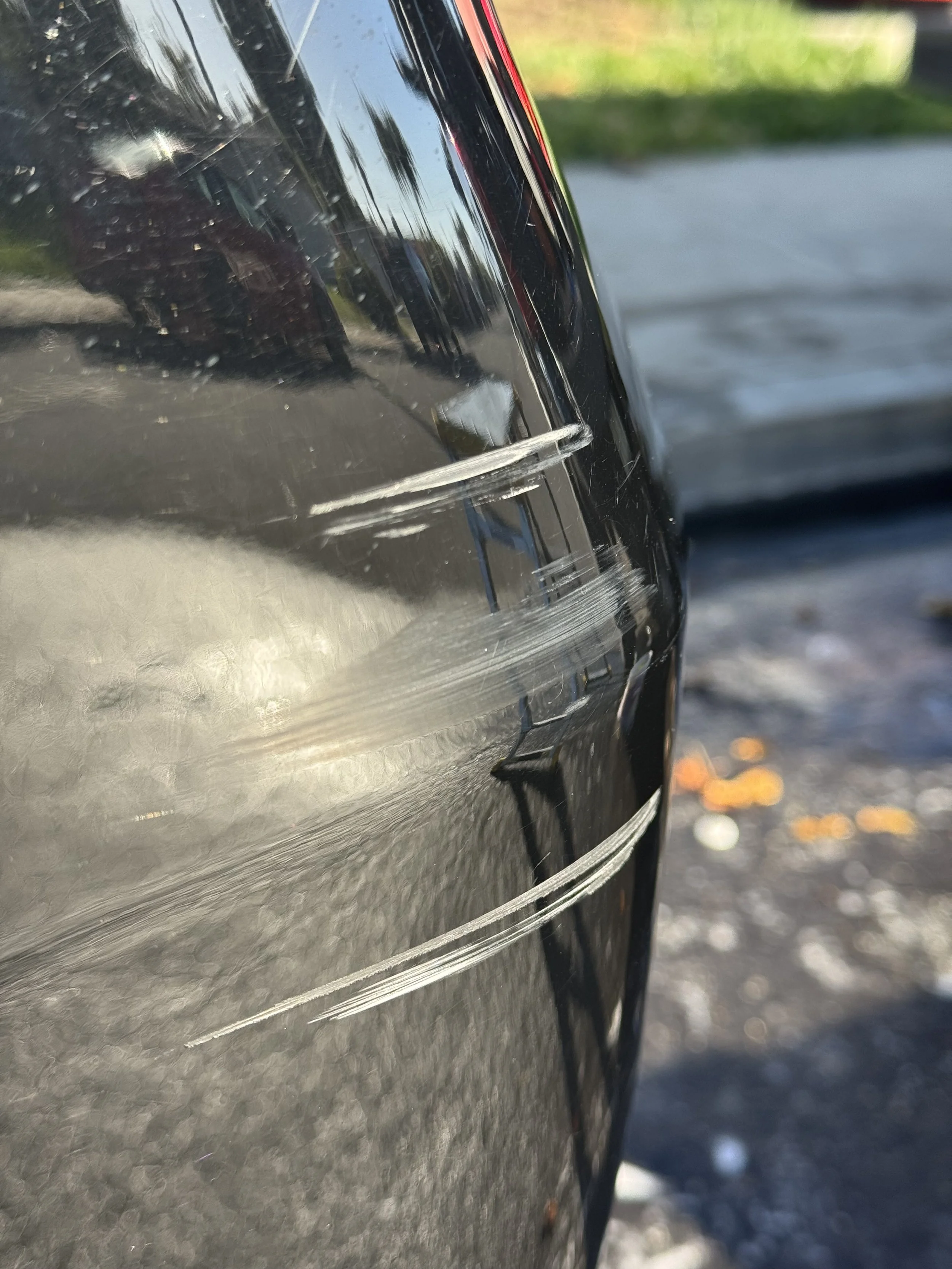 Shepherd scratch repair in Santa Clara and the surrounding Bay Area