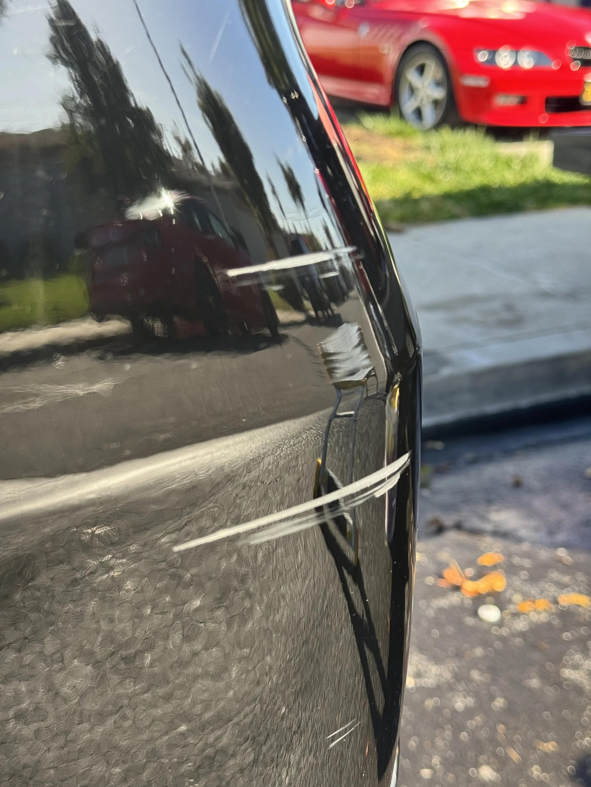 Shepherds scratch repair in Santa Clara California and the surrounding Bay Area