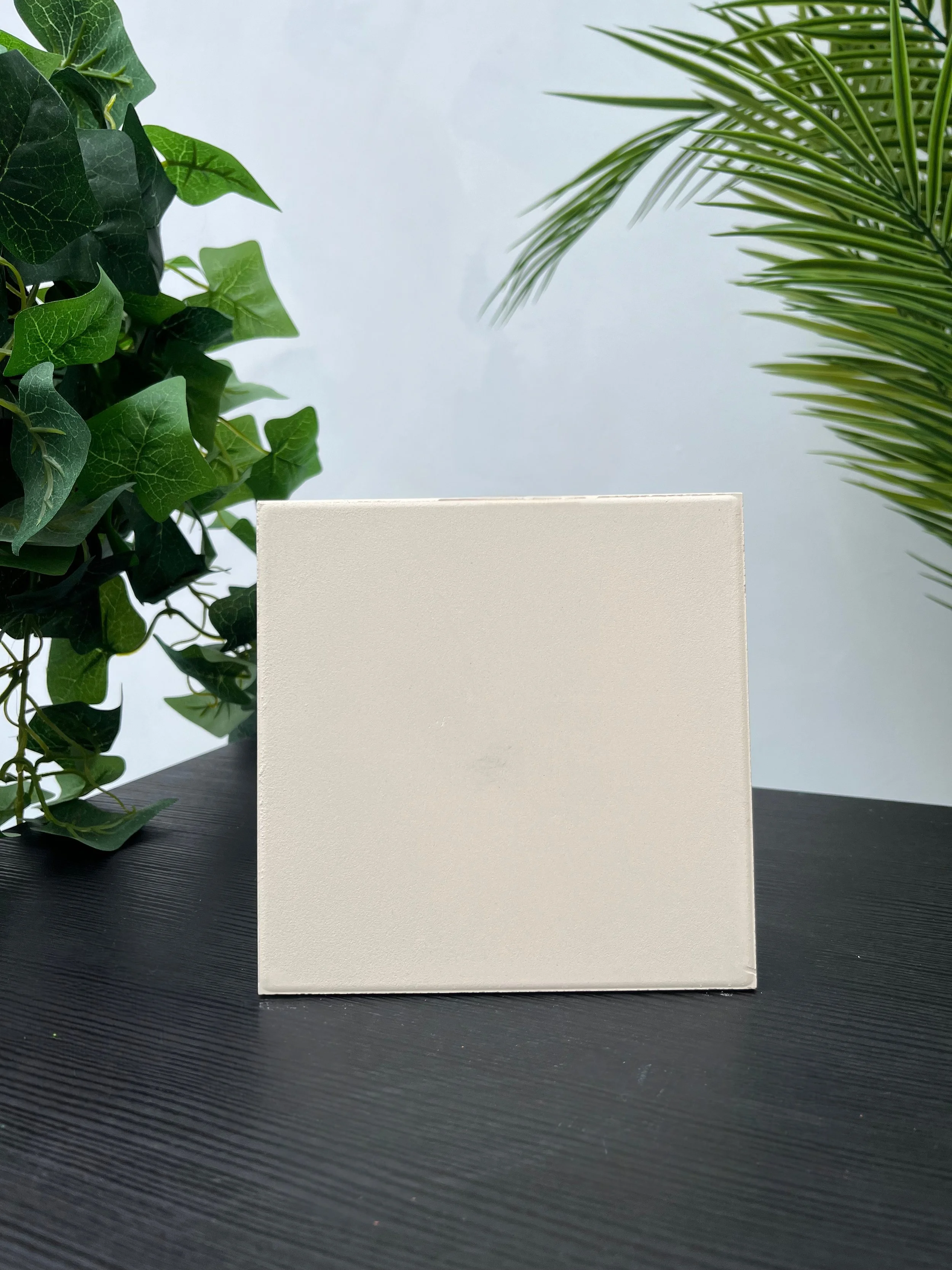 A plain white square on a black textured table with a plant in the background.