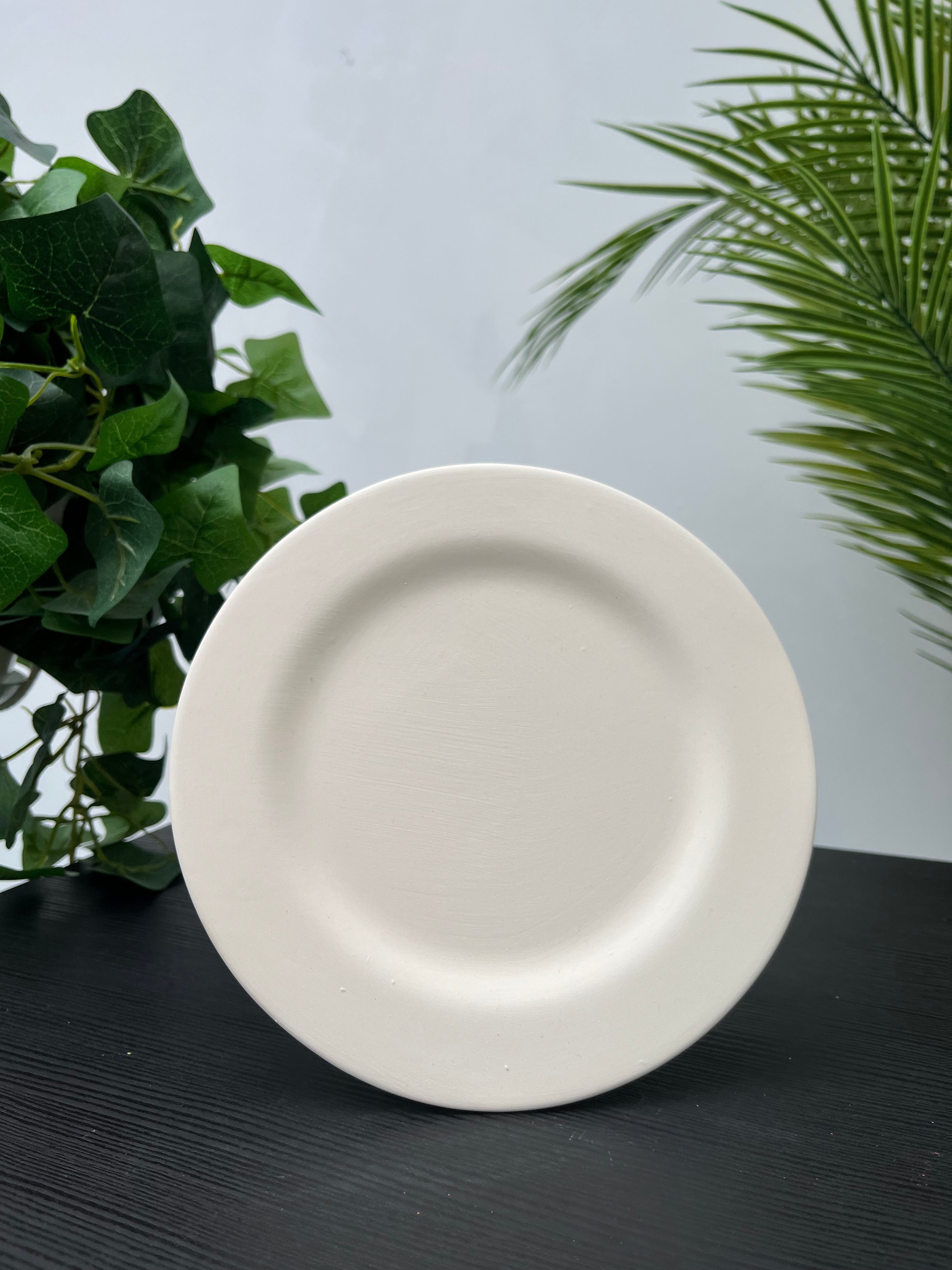 A white, round plate on a dark surface with a green plant in the background.