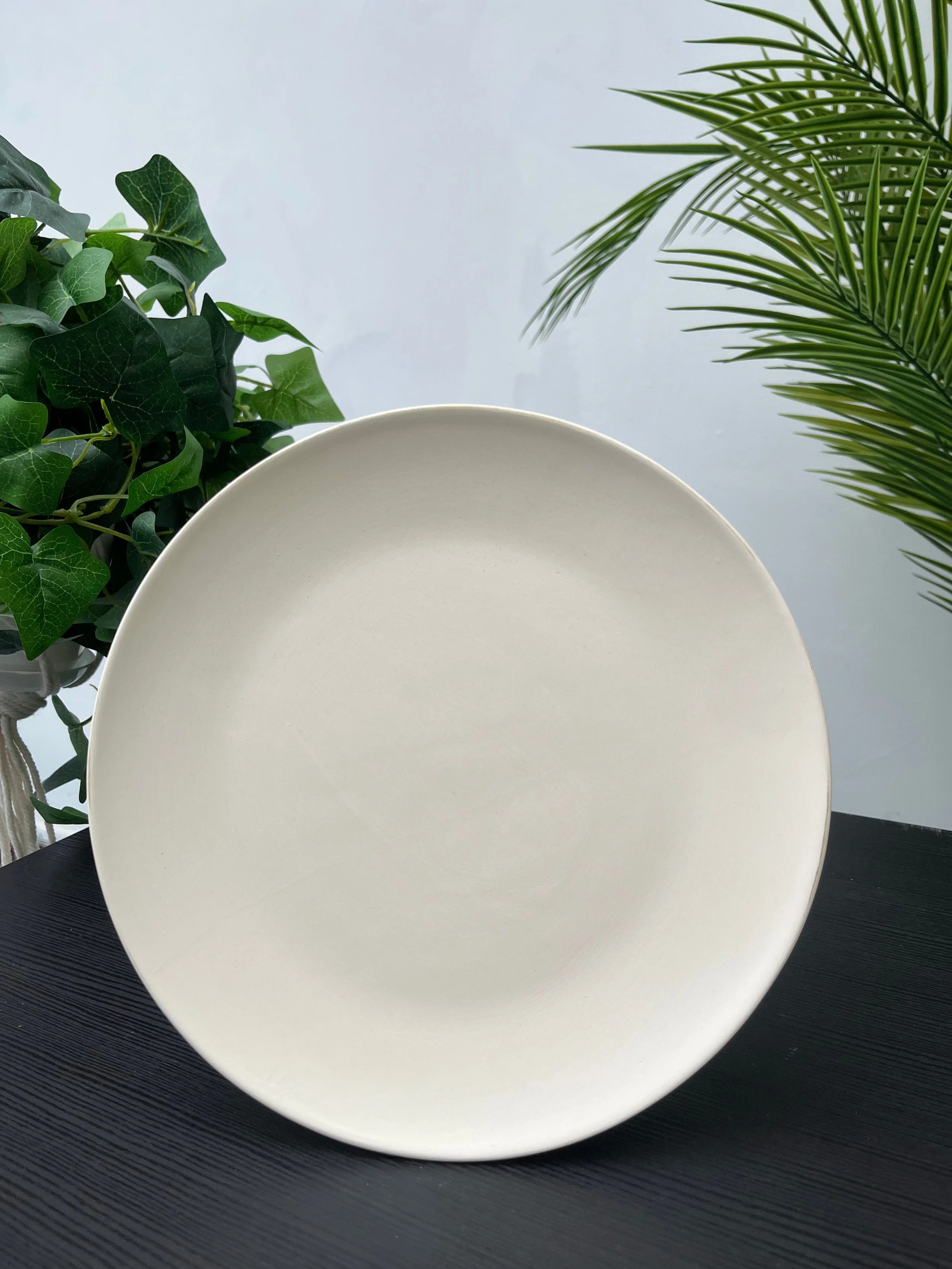 A white round plate on a dark table with a plant in the background.