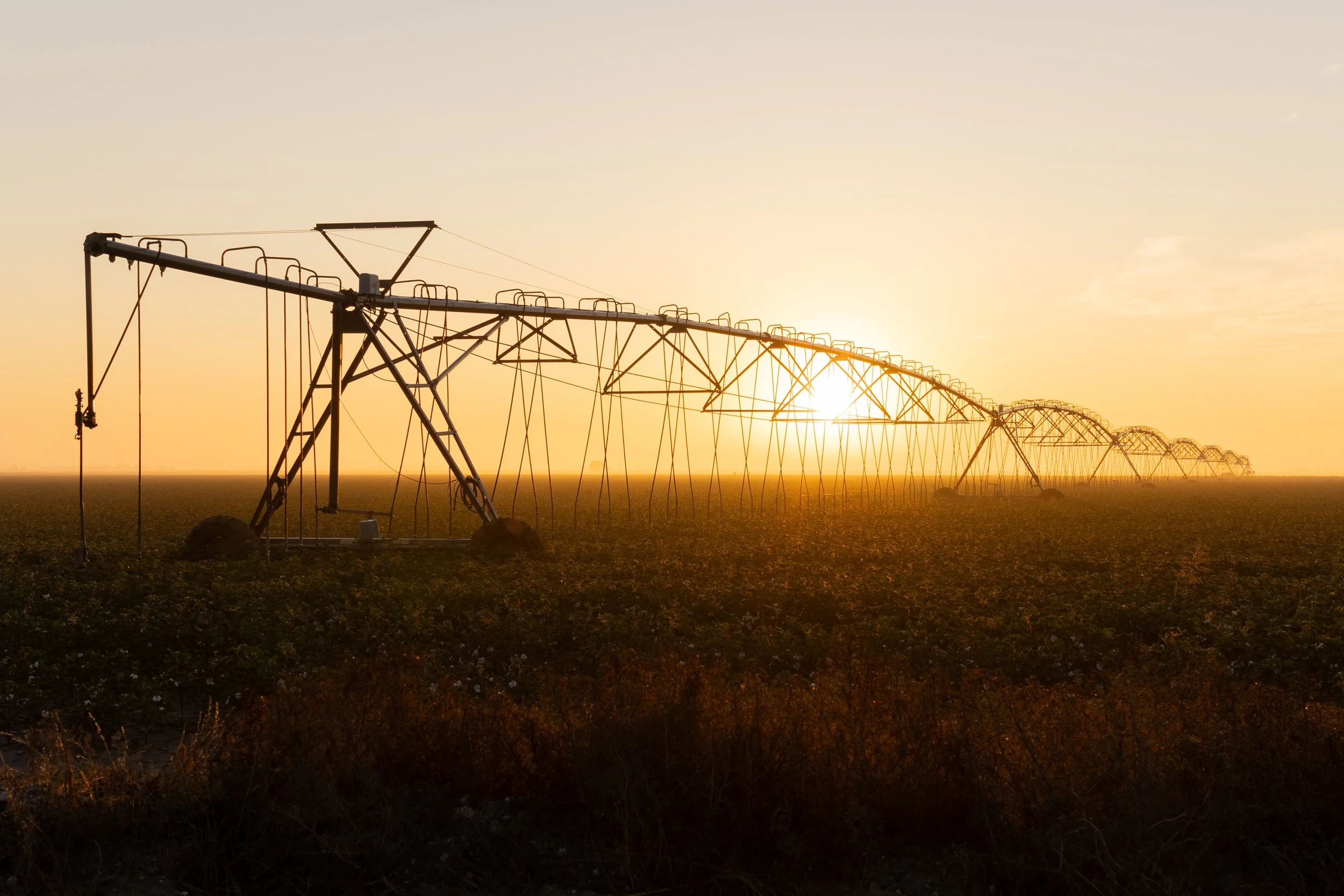 Waida, Michelle-2883.jpg