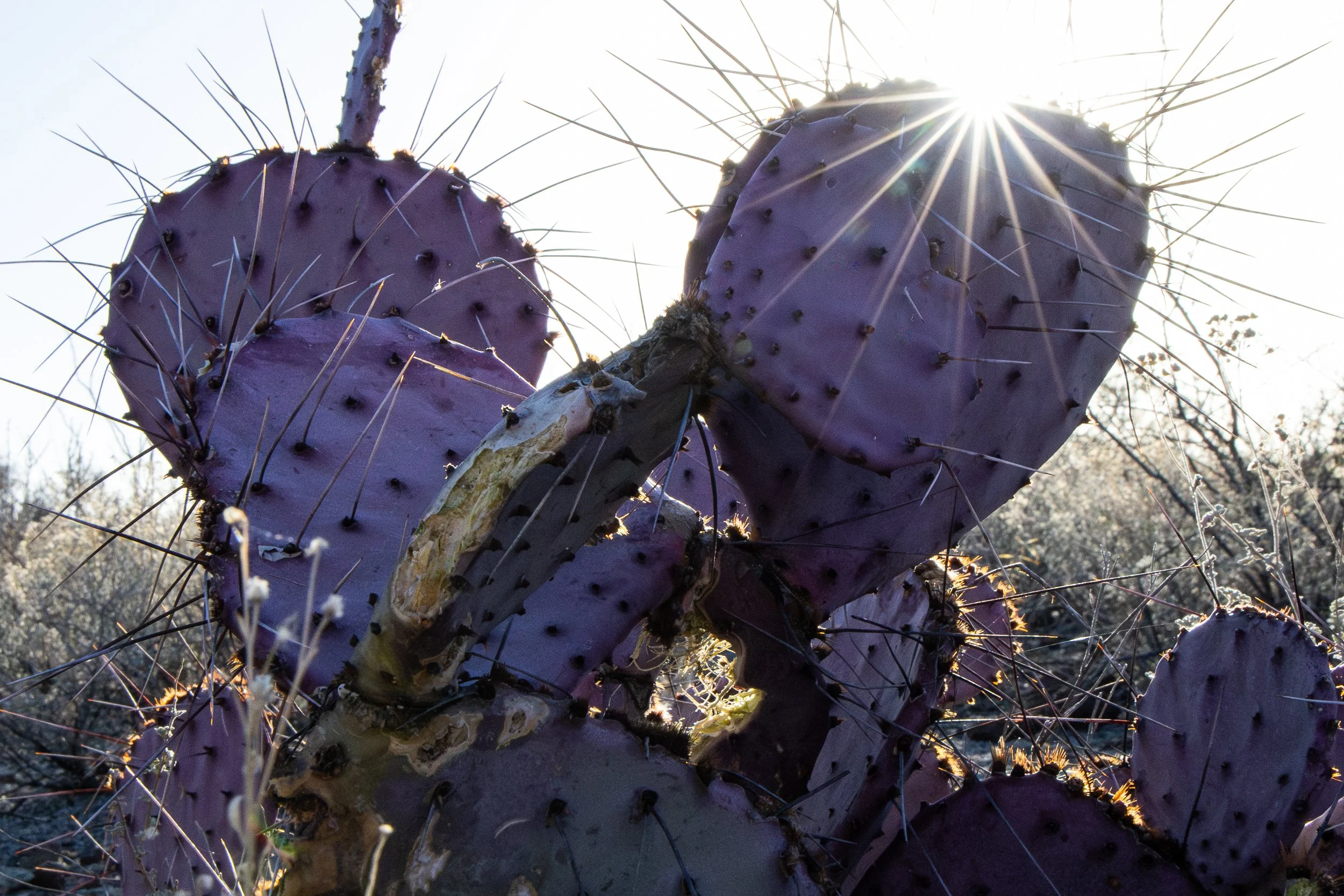 Waida, Michelle-0873.jpg