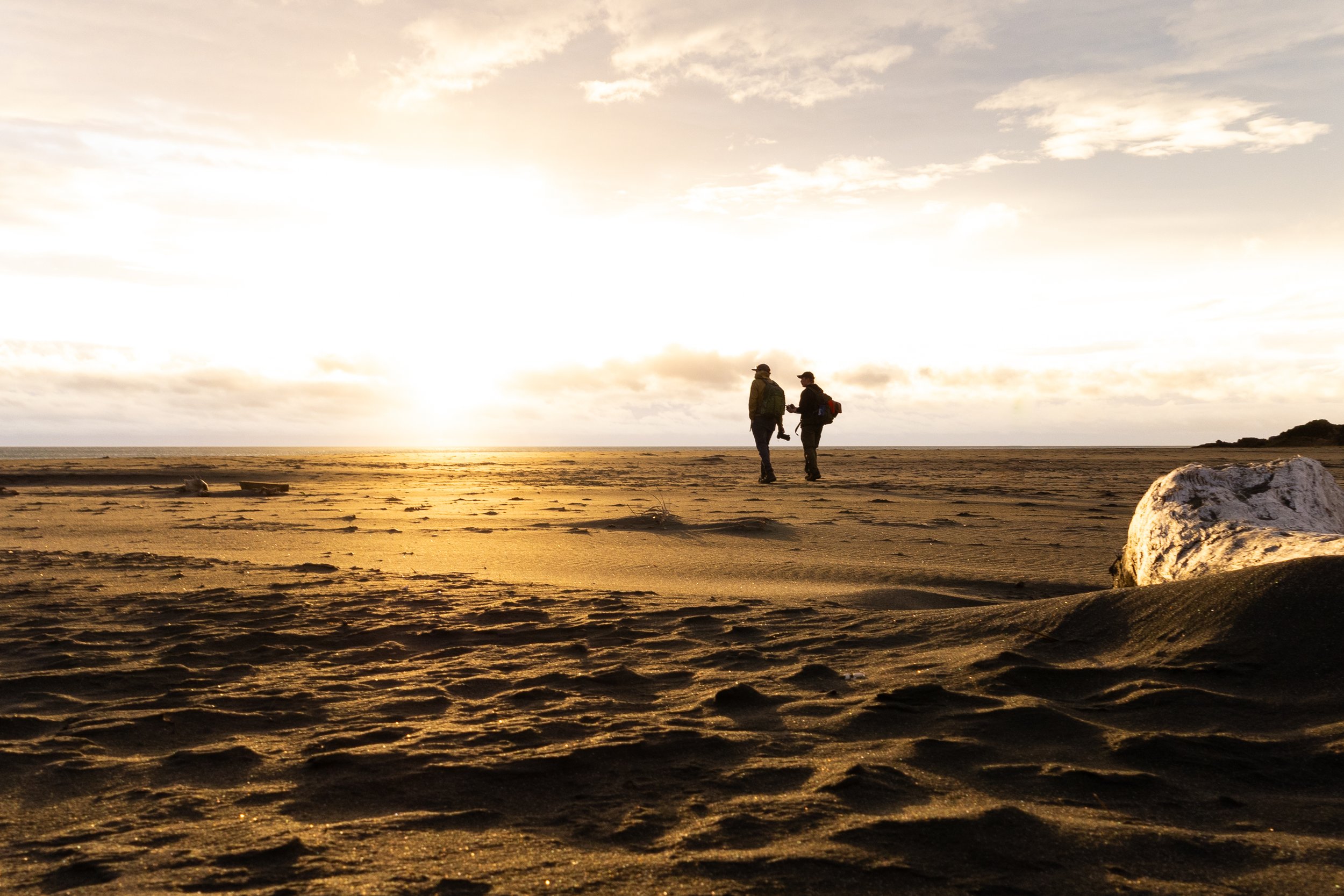 Waida, Michelle-1356.jpg