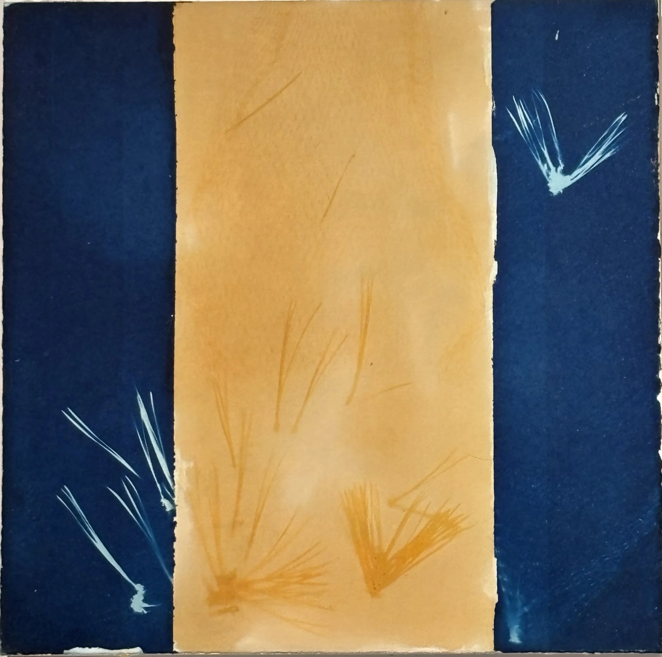 Process Mix (flutter), cyanotype and turmeric print on paper on board, 12"x12", 2026