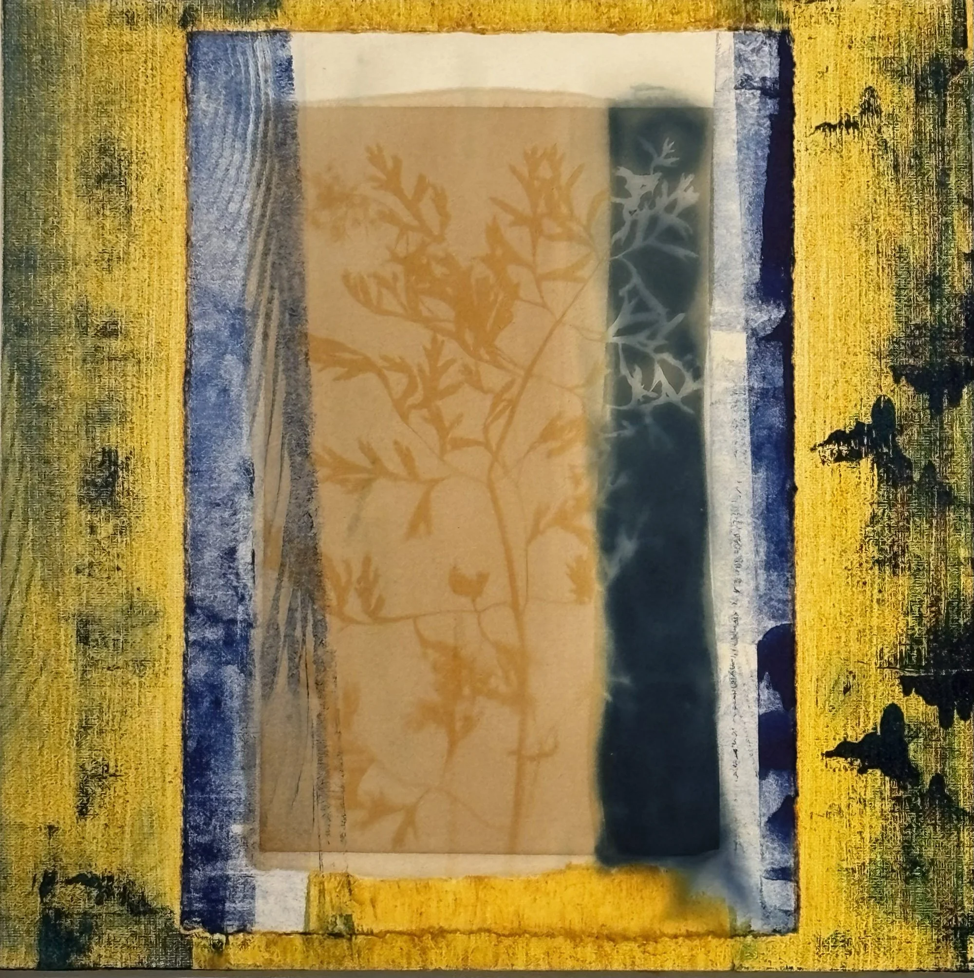 Process Day (veils), turmeric print, turmeric, acrylic medium, ink on paper on board, 12"x12", 2026