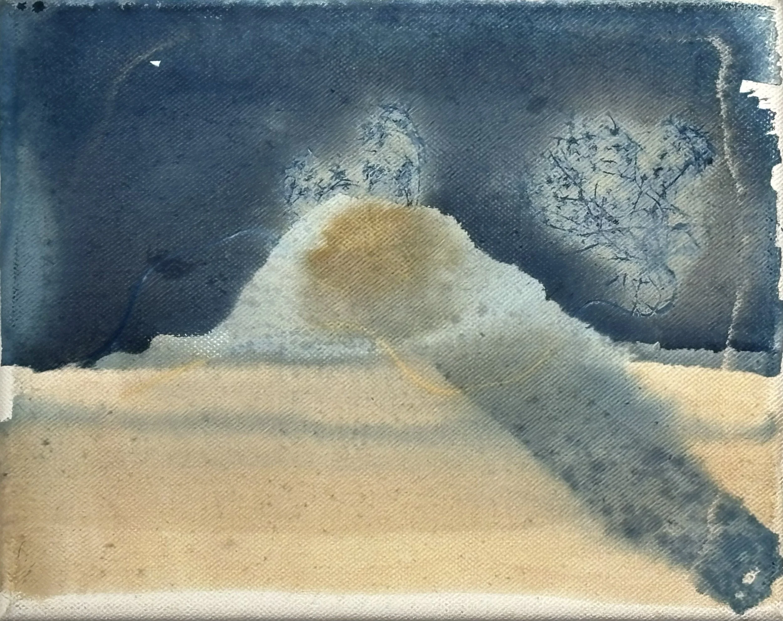 Plein Air Printmaking, cyanotype and turmeric print on stretched canvas, 8"x10", 2026