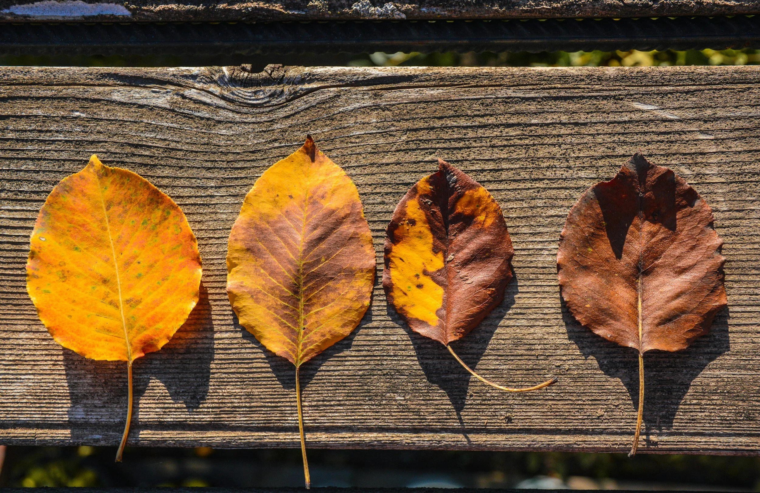 5 Ways to Navigate Life's Transitions