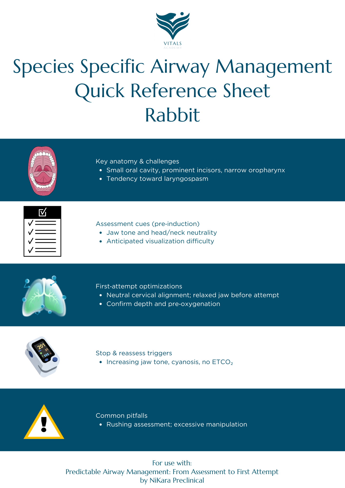 Rabbit Quick Reference - Airway.png