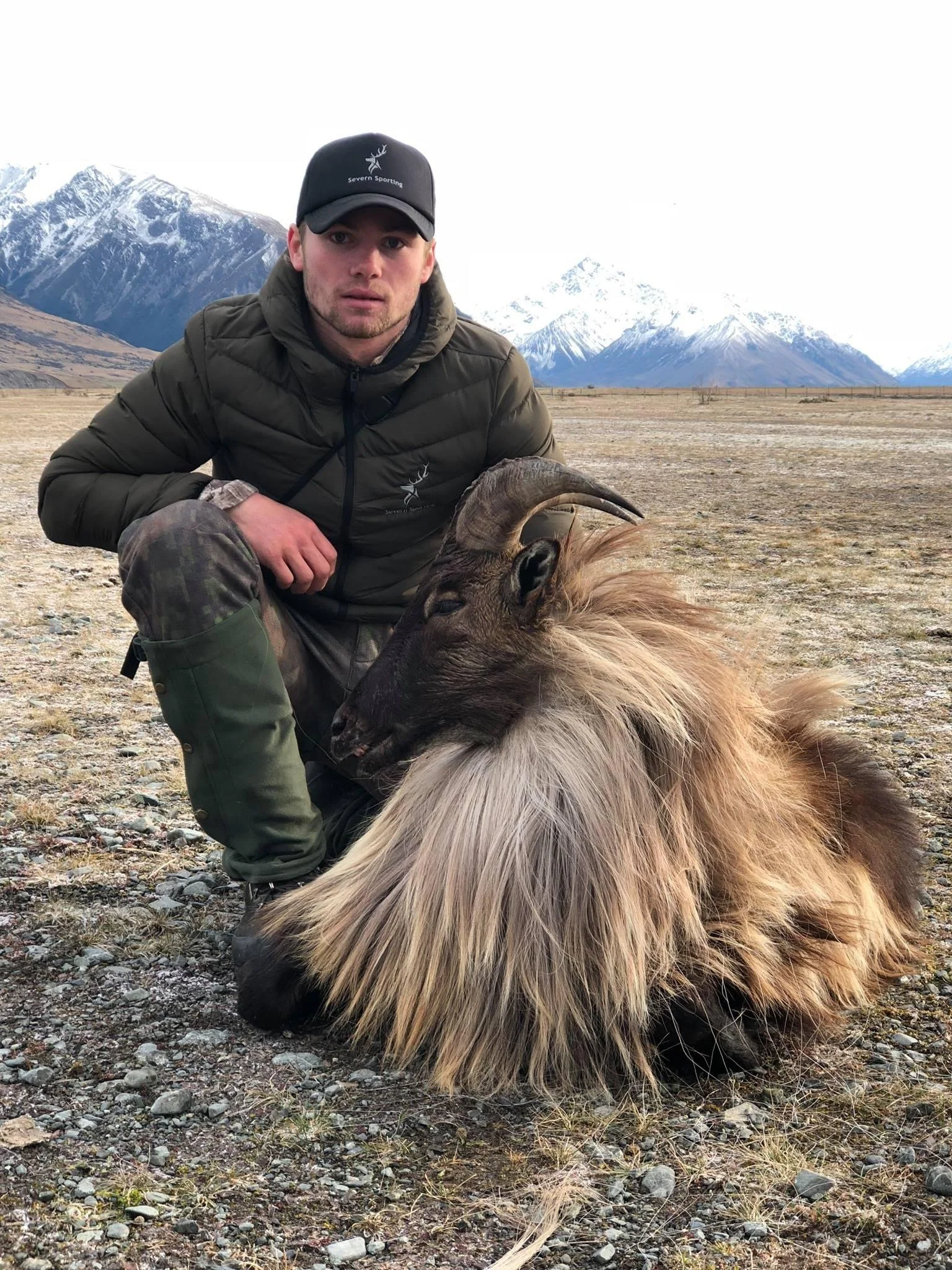 A man wearing outdoor gear poses with a large, fluffy tahr with curved horns in an open field with snow-capped mountains in the background.