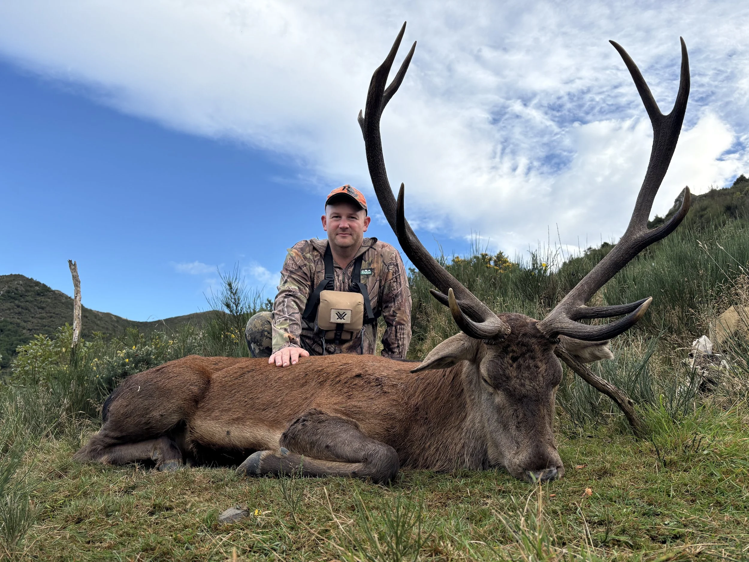 A man in camouflage clothing and a cap is kneeling with a dead red stag with large antlers. The scene is outdoors with green grass, hills, and a partly cloudy sky.