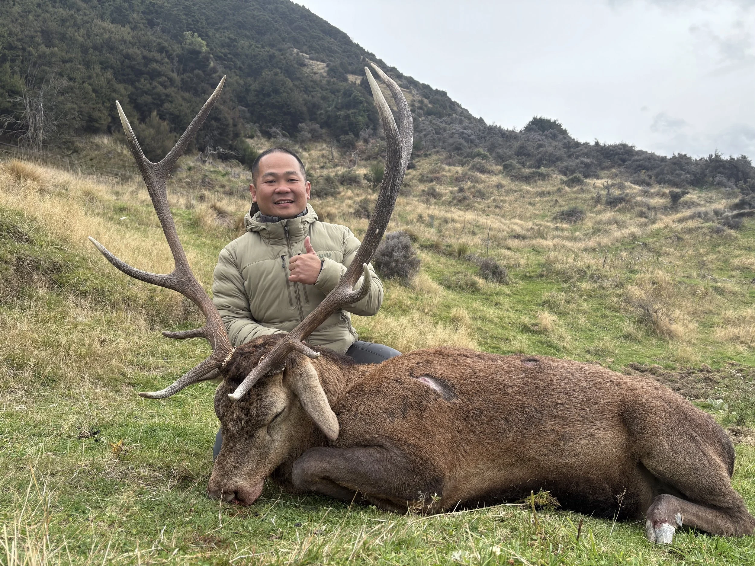 A man kneeling beside a large, dead stag with big antlers, giving a thumbs up and smiling in a grassy field with hills and trees in the background.